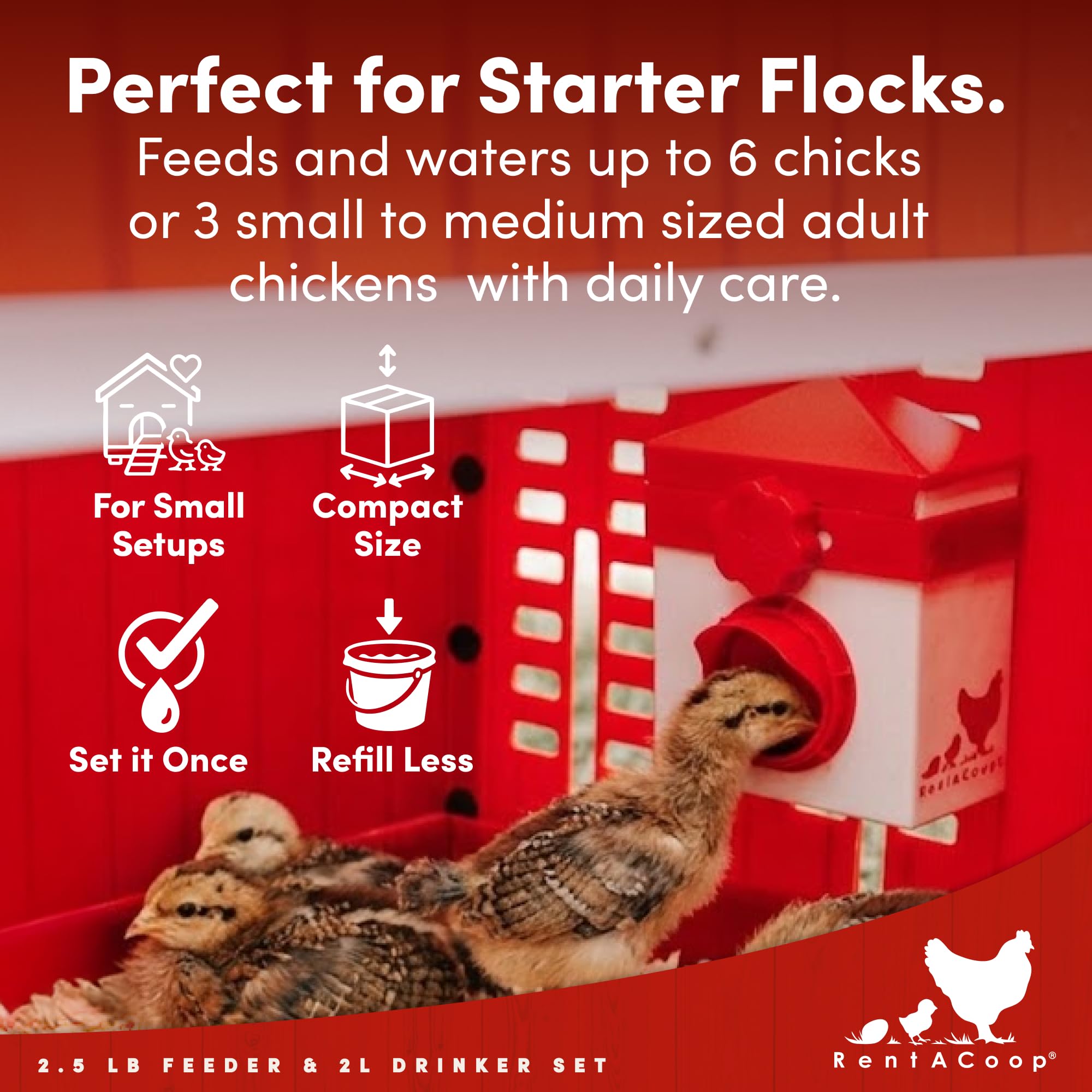 RentACoop Chick2Chicken Futterstation mit mittelgroßem Portwein, 2 Liter, für Küken, Hühner, Wachteln und andere kleine Vögel, 1,1 kg