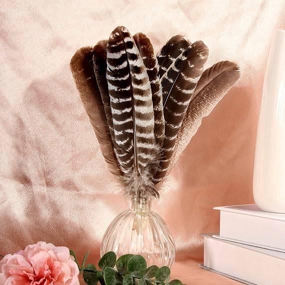 24pcs Natural Wild Turkey Tails Feathers Quill Bulk 8-10inch 20-25cm for DIY Crafts Project Collection Wedding Decoration Wild Turkey Tails