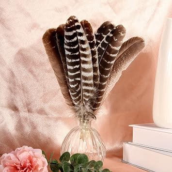 24pcs Natural Wild Turkey Tails Feathers Quill Bulk 8-10inch 20-25cm for DIY Crafts Project Collection Wedding Decoration Wild Turkey Tails