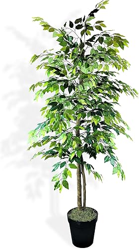 Árbol de ficus artificial de 6 pies para interiores en maceta de plástico negro, planta falsa de casa y decoración del hogar para sala de estar, Árbol de ficus artificial de 6 pies para interiores en maceta de plástico negro, planta falsa de casa y decoración del hogar para sala de estar,