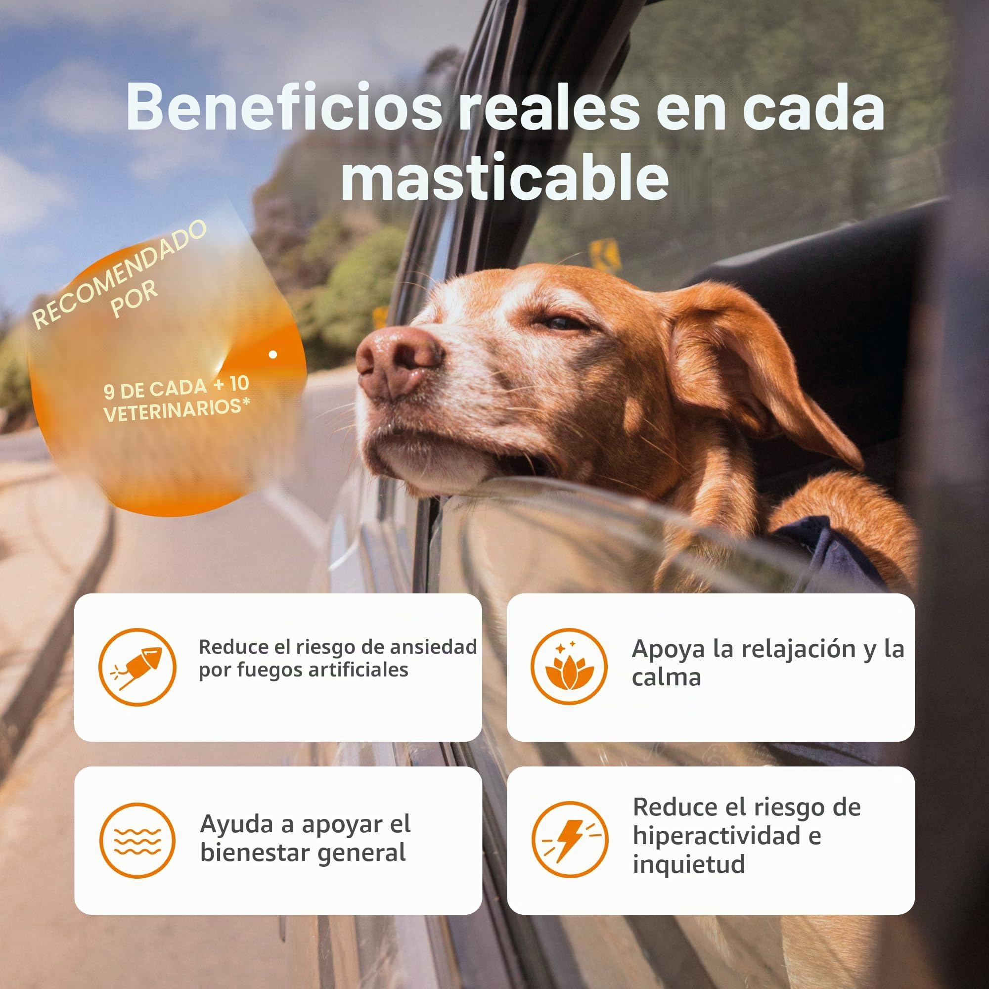 Suplemento calmante Zesty Paws para Perros | Alivio de ansiedad | Relajación y Estrés | Ashwagandha, Té Verde y L-Triptófano | Tabletas calmantes para Perros | 90 Piezas
