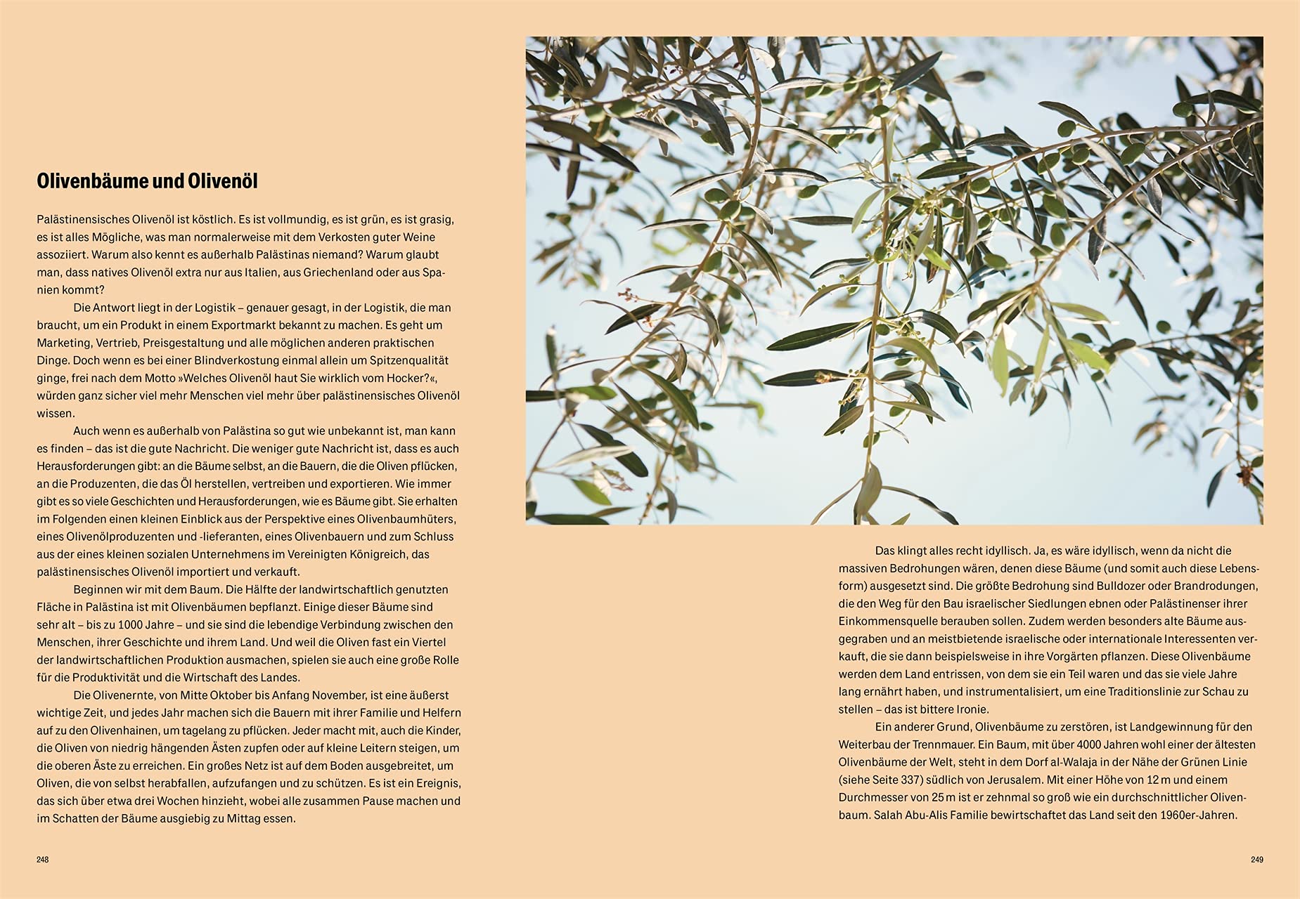 Palästina: Das Kochbuch. 110 orientalische Rezepte. Mit einem Vorwort von Yotam Ottolenghi. Im Leineneinband. Mehrfach ausgezeichnet