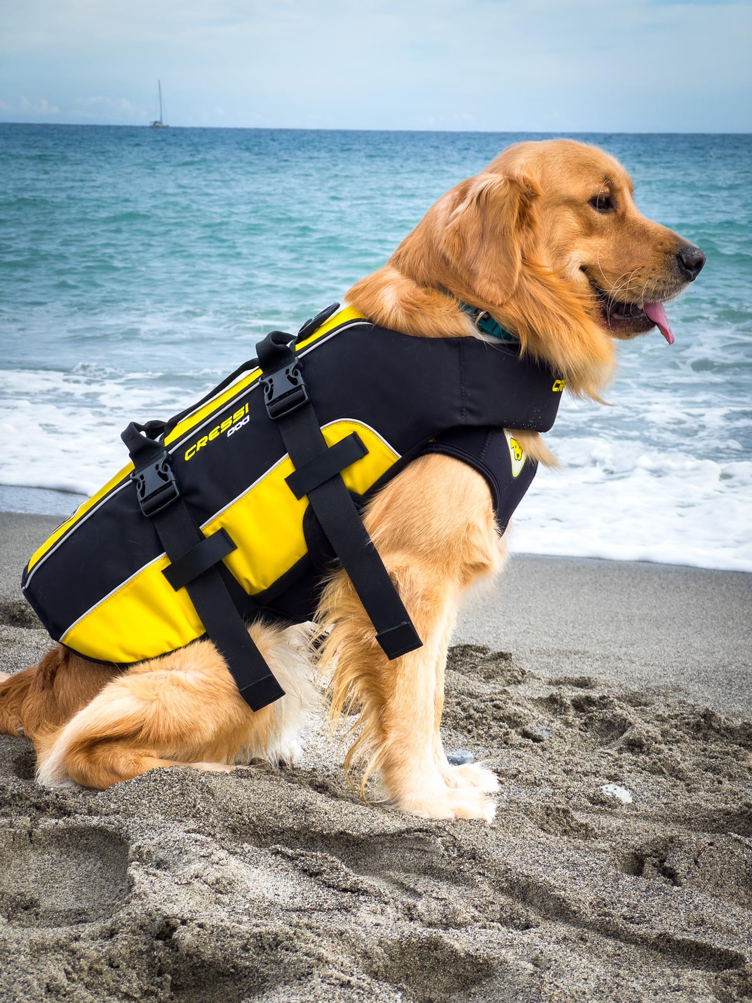 Cressi Dog Life Jacket, Giubbotto Salvagente Per Cani, Giubbotto Di Salvataggio Per Cani, Gilet Salvagente Per Cane, Giubbotto Di Sicurezza Galleggiante Per Cani, Giubbotto Galleggiante Per Cane