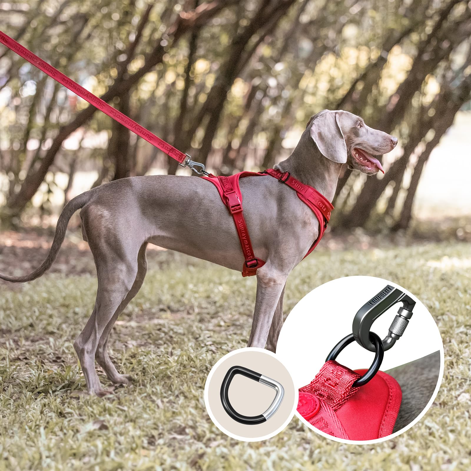 Hundegeschirr mit weicher Lycra-Polsterung, atmungsaktiver Komfortweste aus Mesh, Verstellbarer Größe für kleine, mittlere und große Rassen, mit Zwei Schnallen, sicheres(Burgunderrot,M)