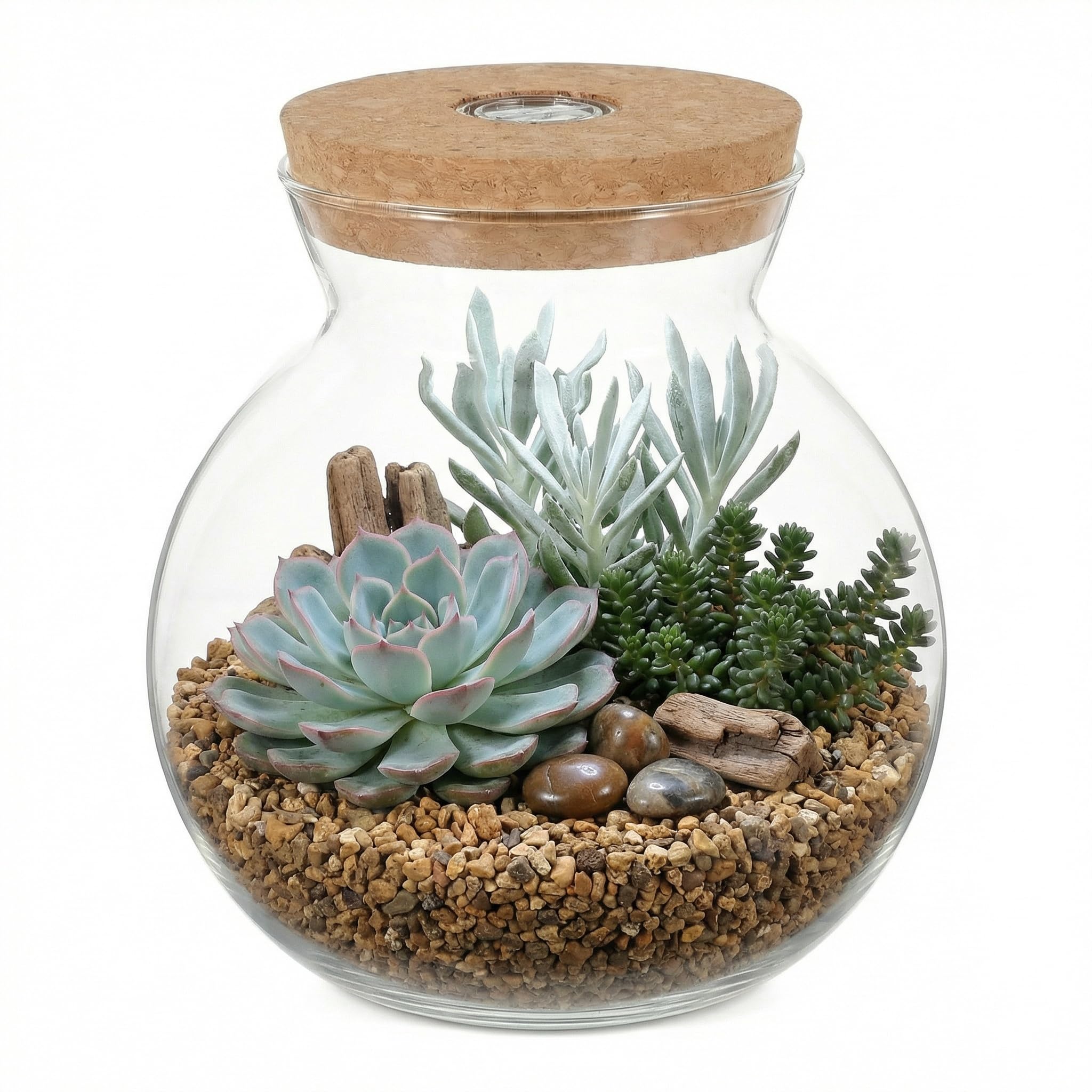 UKCOCO Bouteille en verre - Bouteille de paysage - Récipient transparent - Petit récipient de conservation - à champignons - Bocaux LED avec bouchon en liège - Vase de paysage pour