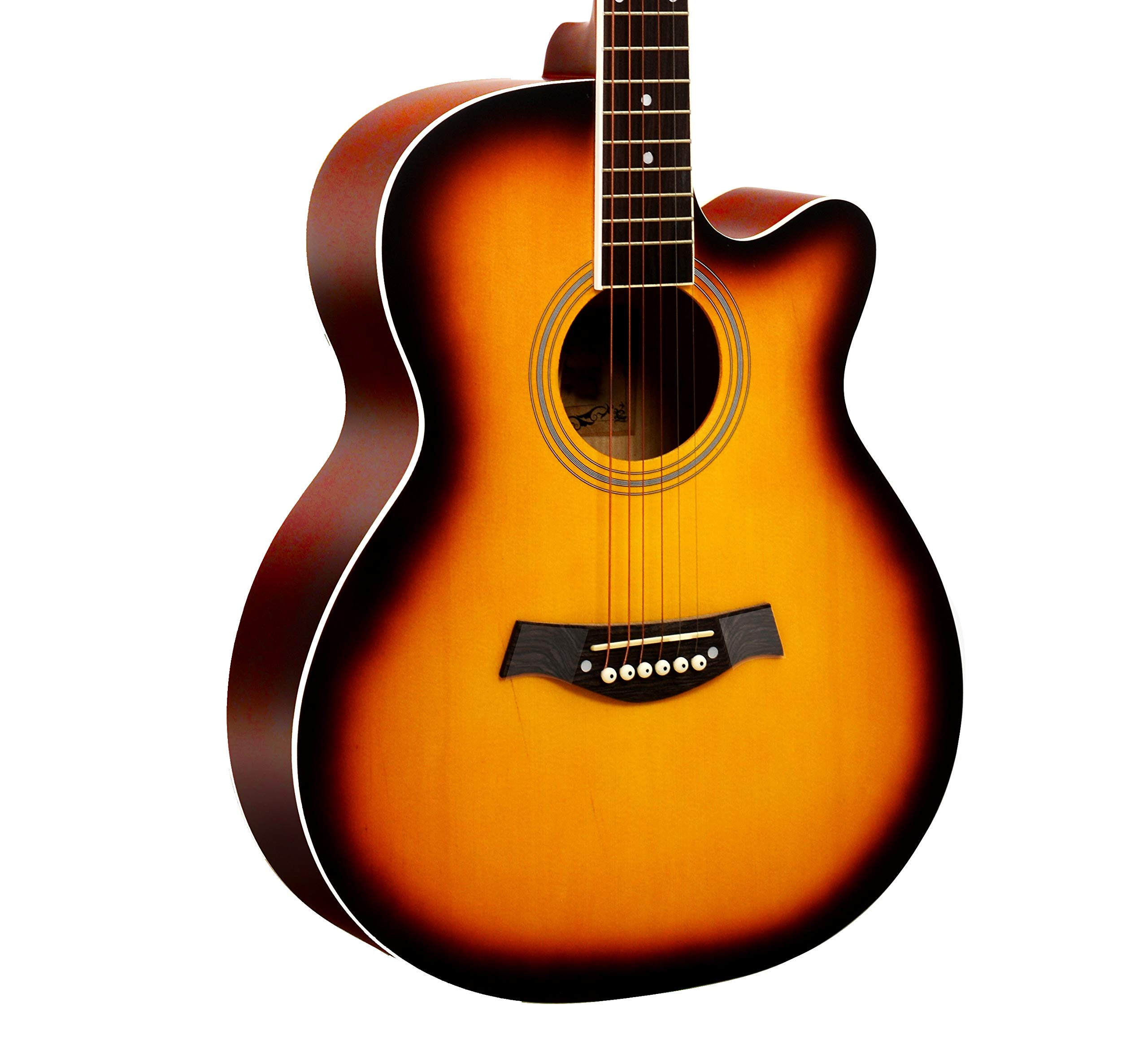 BLUEBERRY B-40, Acoustic Guitar Kit Inbuilt Truss Rod, with Bag