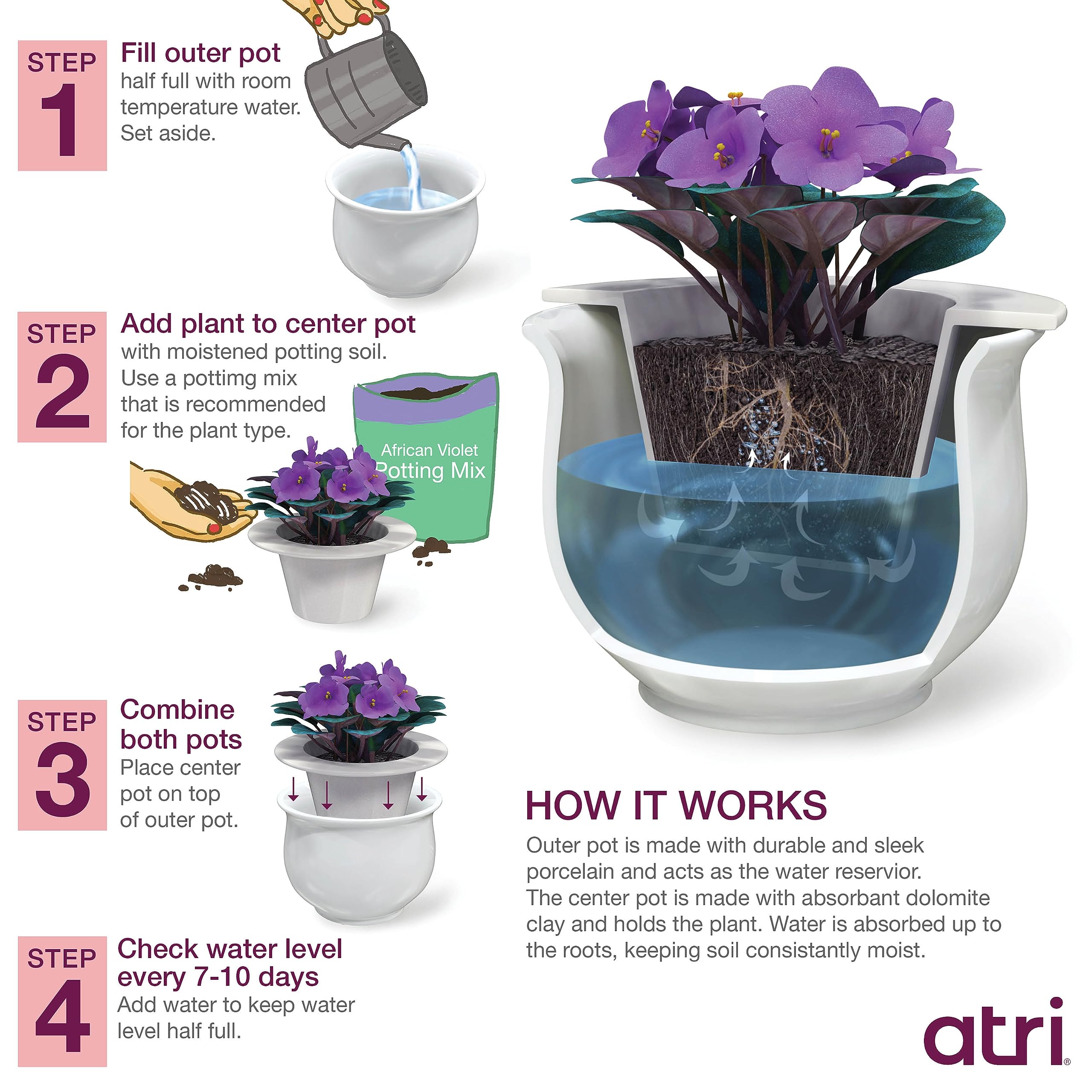 African Violet Pots Home Depot