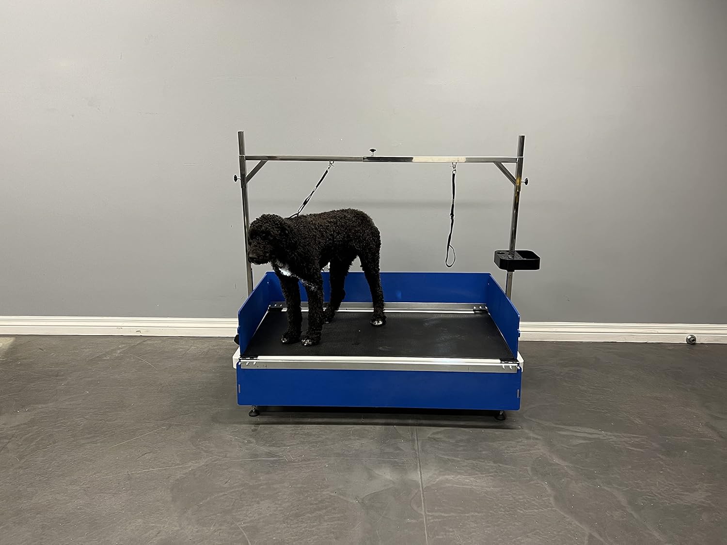 Elevation 48 Grooming Table (Complete Package)