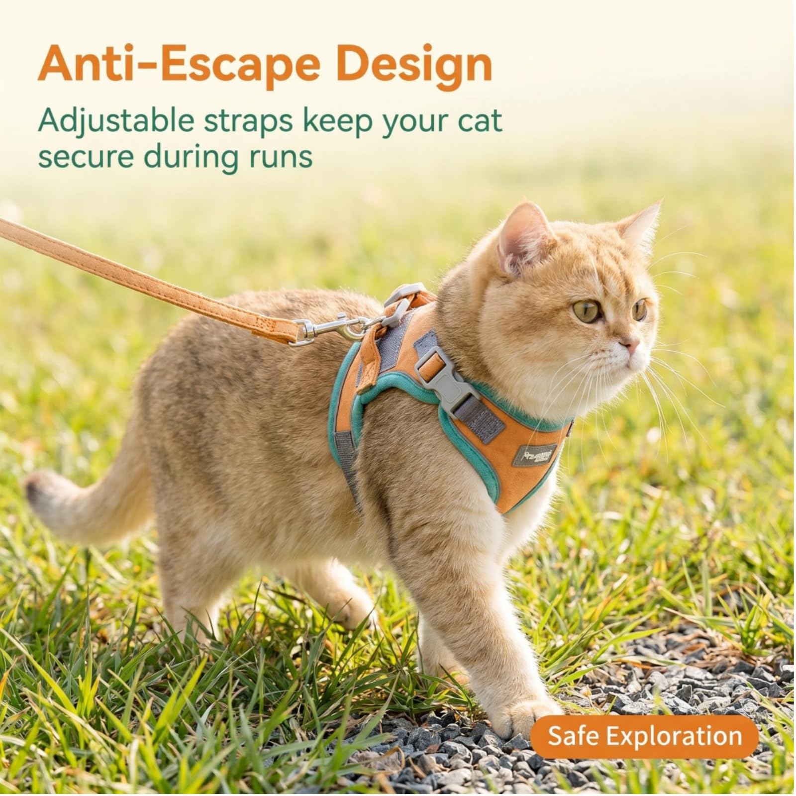 Set di imbracatura e guinzaglio per gatti, imbracatura per gatti, imbracatura anti-fuga, imbracatura anti,fuga confortevole, traspirante e regolabile per gatti piccoli e cuccioli (blu, M)
