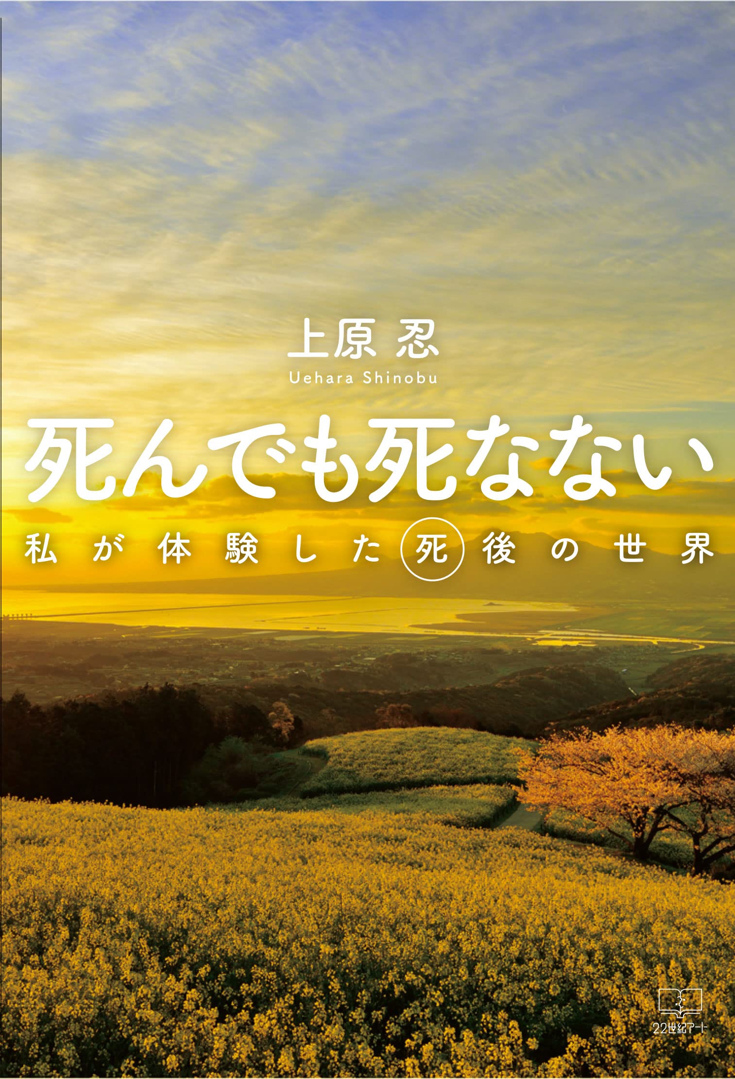 中古】 ヘミシンクによる未来世体験 驚異のヴィジョンとその検証 