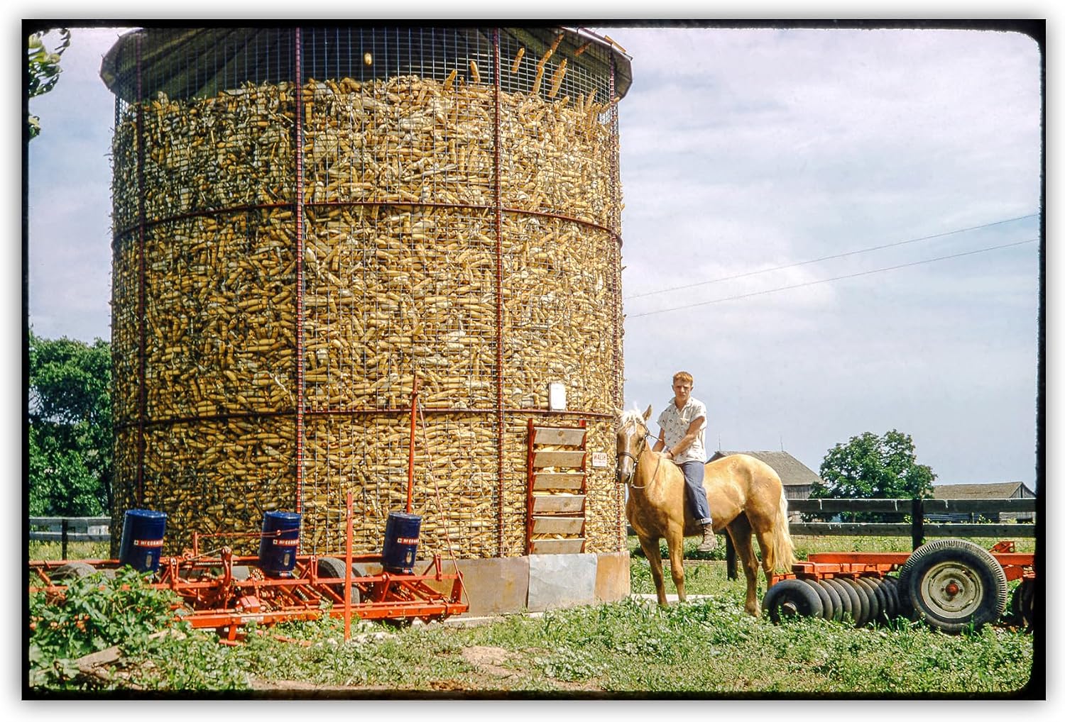 Vintage Farm Photograph of Iowa Heartlands Midwestern Rural Scene | Midcentury Farmhouse Wall Art