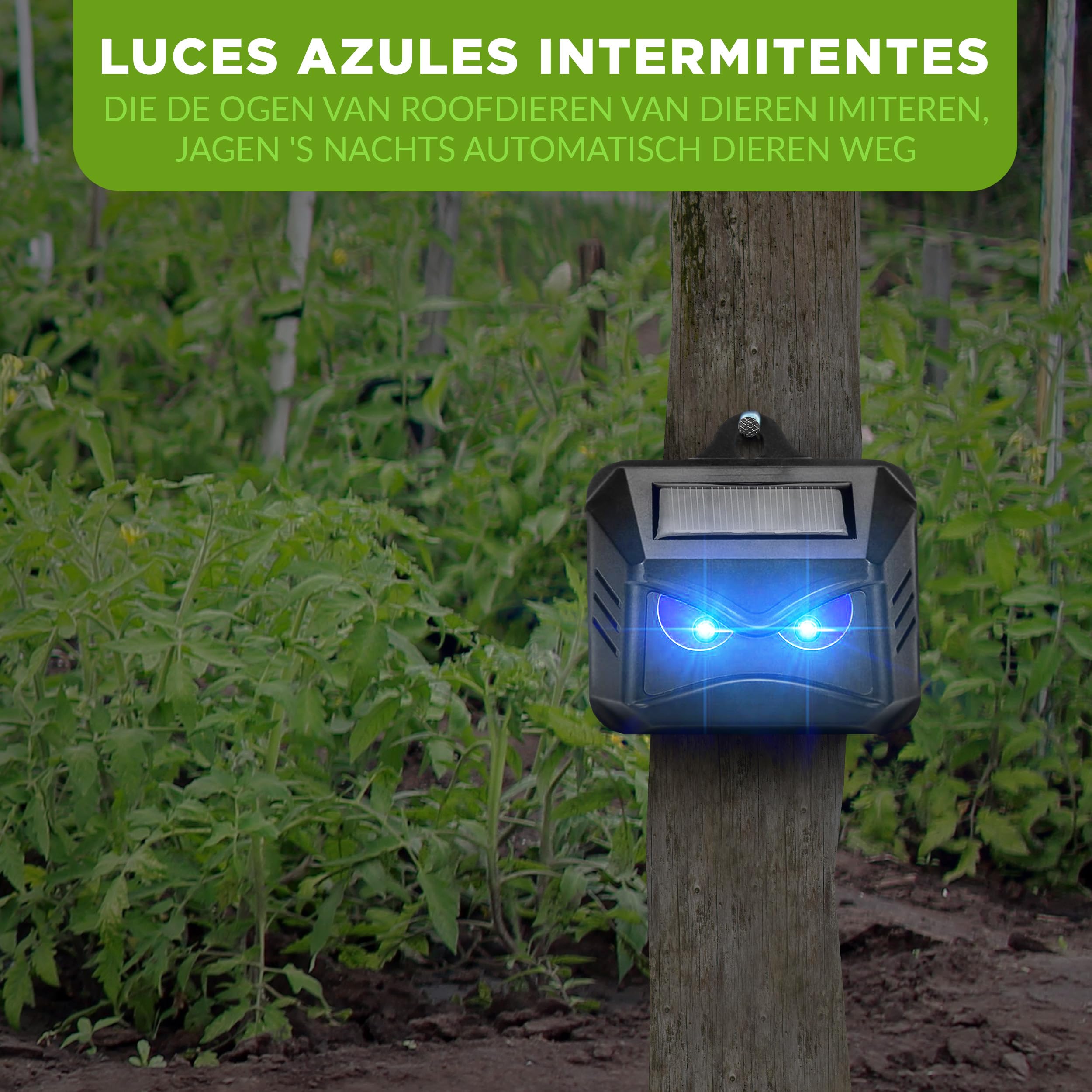 ISOTRONIC Repelente Solar para mapaches, Ciervos, Zorros y jabalíes: Repelente de Fauna Silvestre con luz LED Azul. Disuasivo eficaz con un Alcance Efectivo de 40 m² (4 Unidades).