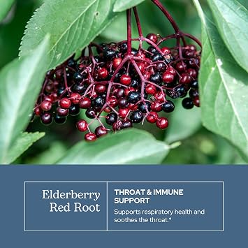 Eclectic Institute Elderberry - Red Root 1 Ounce