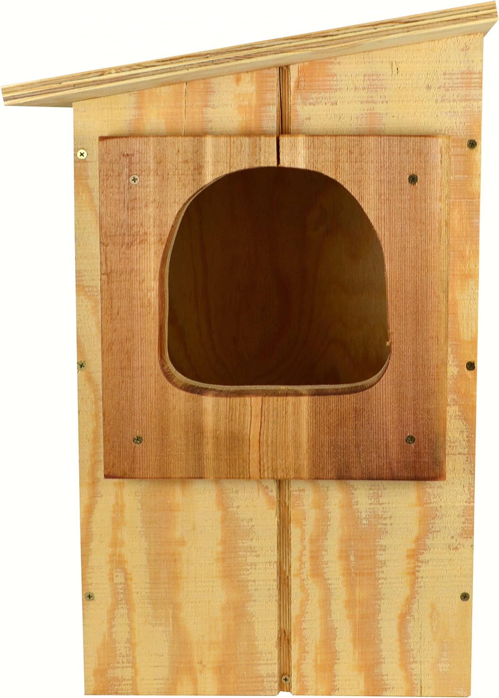 6HB Barred Owl Box