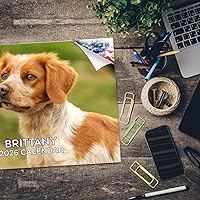 Vista 757 de Razas de Perros 2017