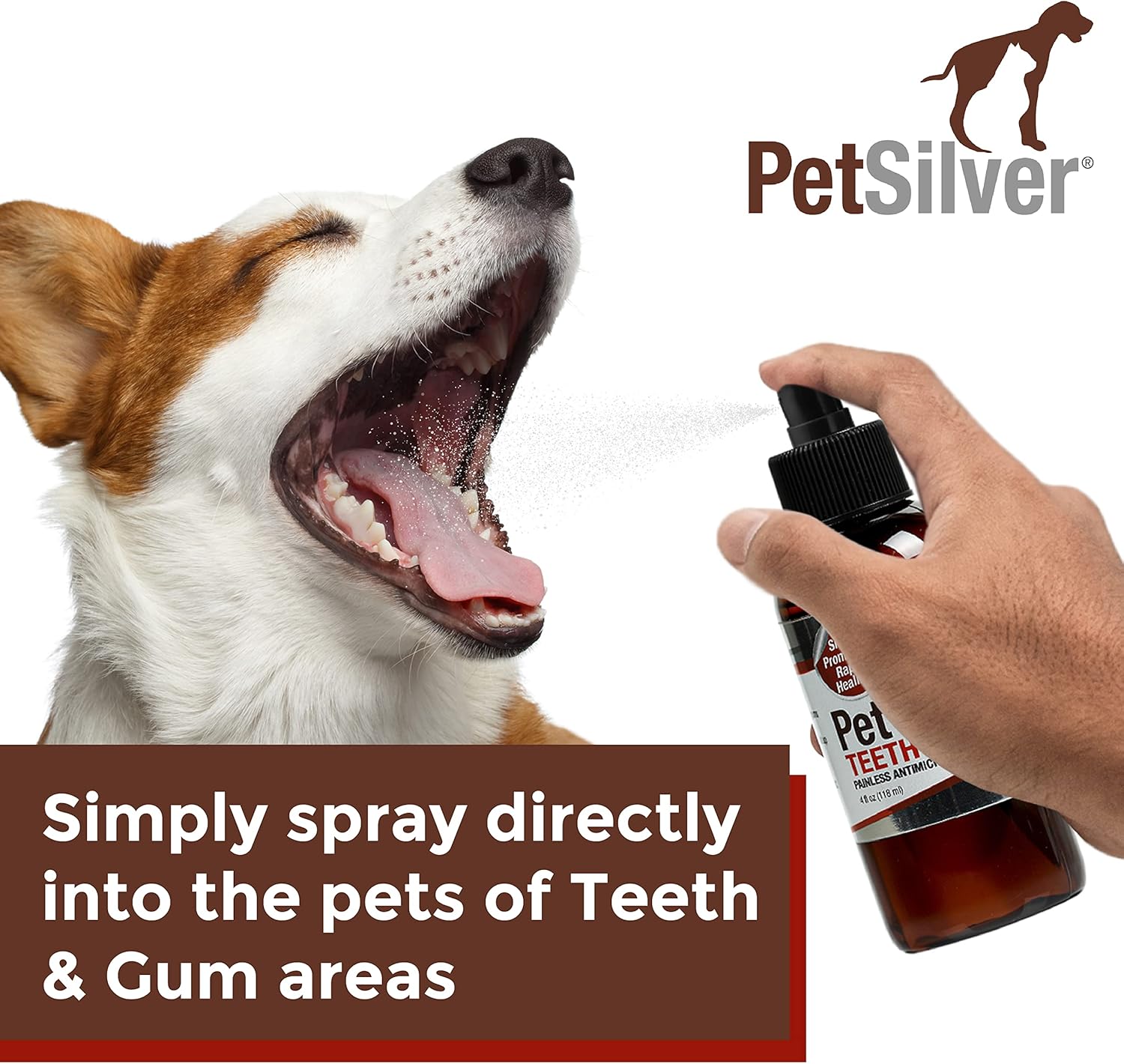 PetSilver Teeth & Gum Spray for Dogs and Cats with Chelated Silver, Made in USA, Vet Formulated, Natural Dental Care Solution, Control Tarter and Plaque, Clean Teeth Without Brushing, Easy to Apply : Pet Supplies