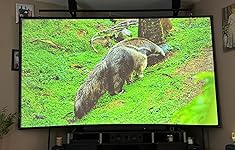 Review Image by F. Dickman F. Dickman