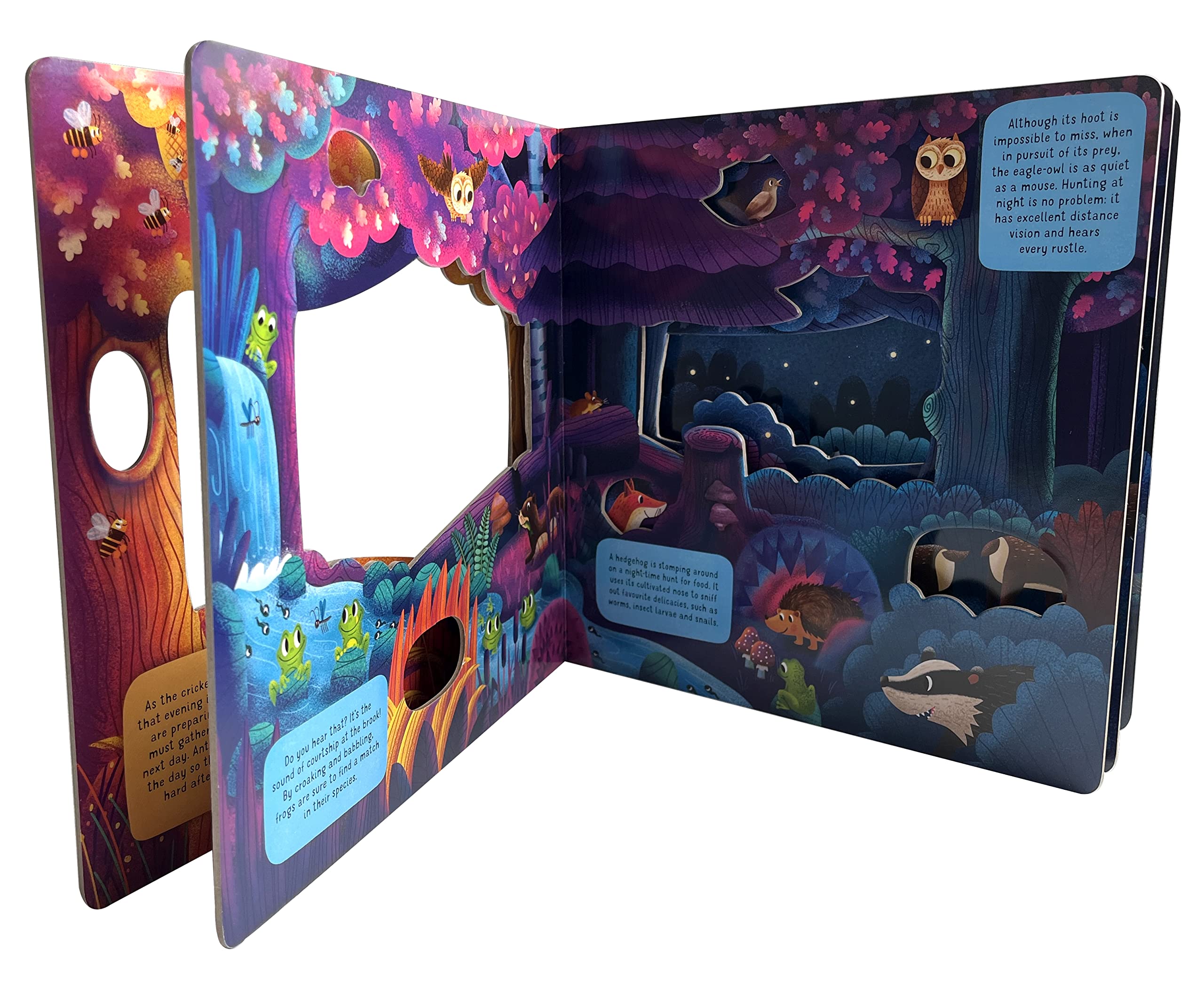 Discovering the Hidden World of Nature at Night (Peek Inside)