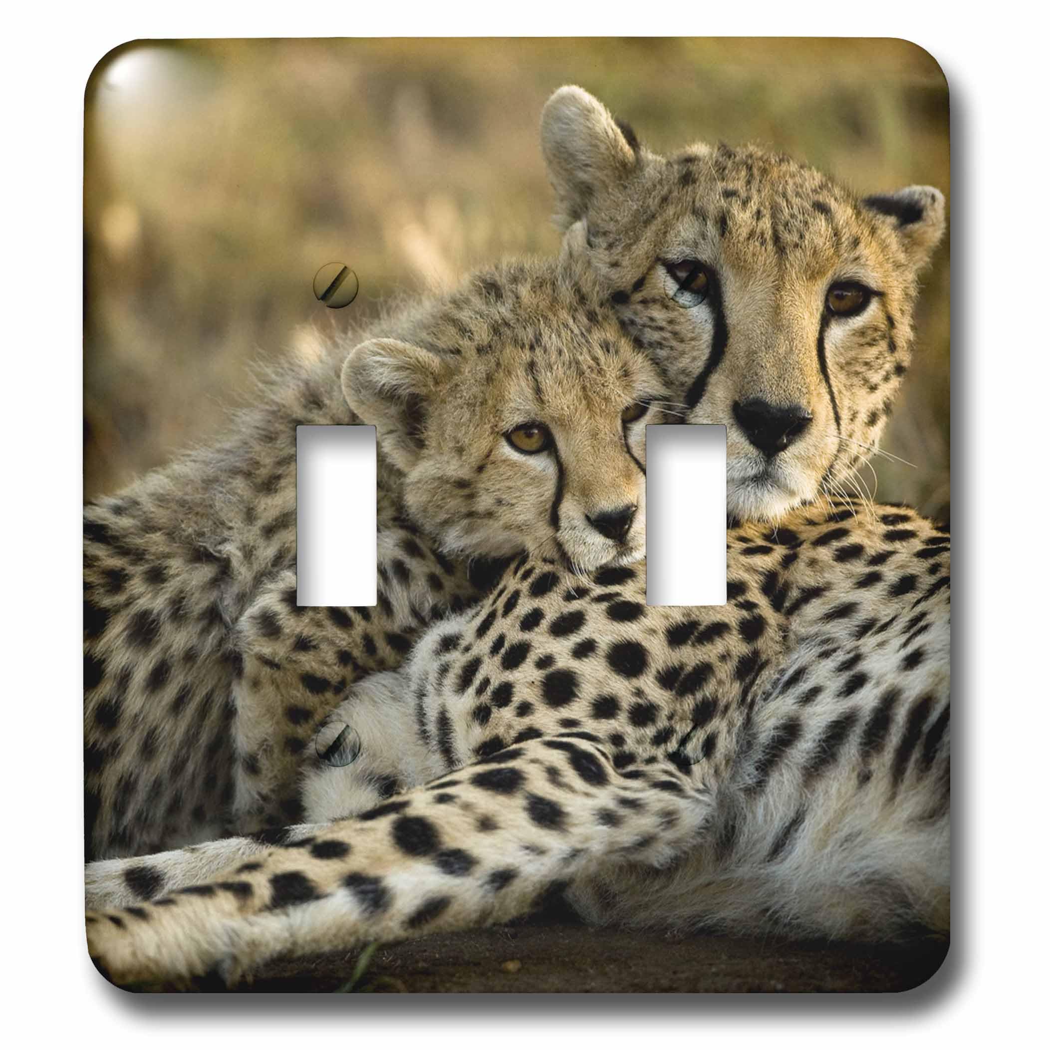 Double interrupteur Kenya guépard pour remplacer les plaques blanches ternes