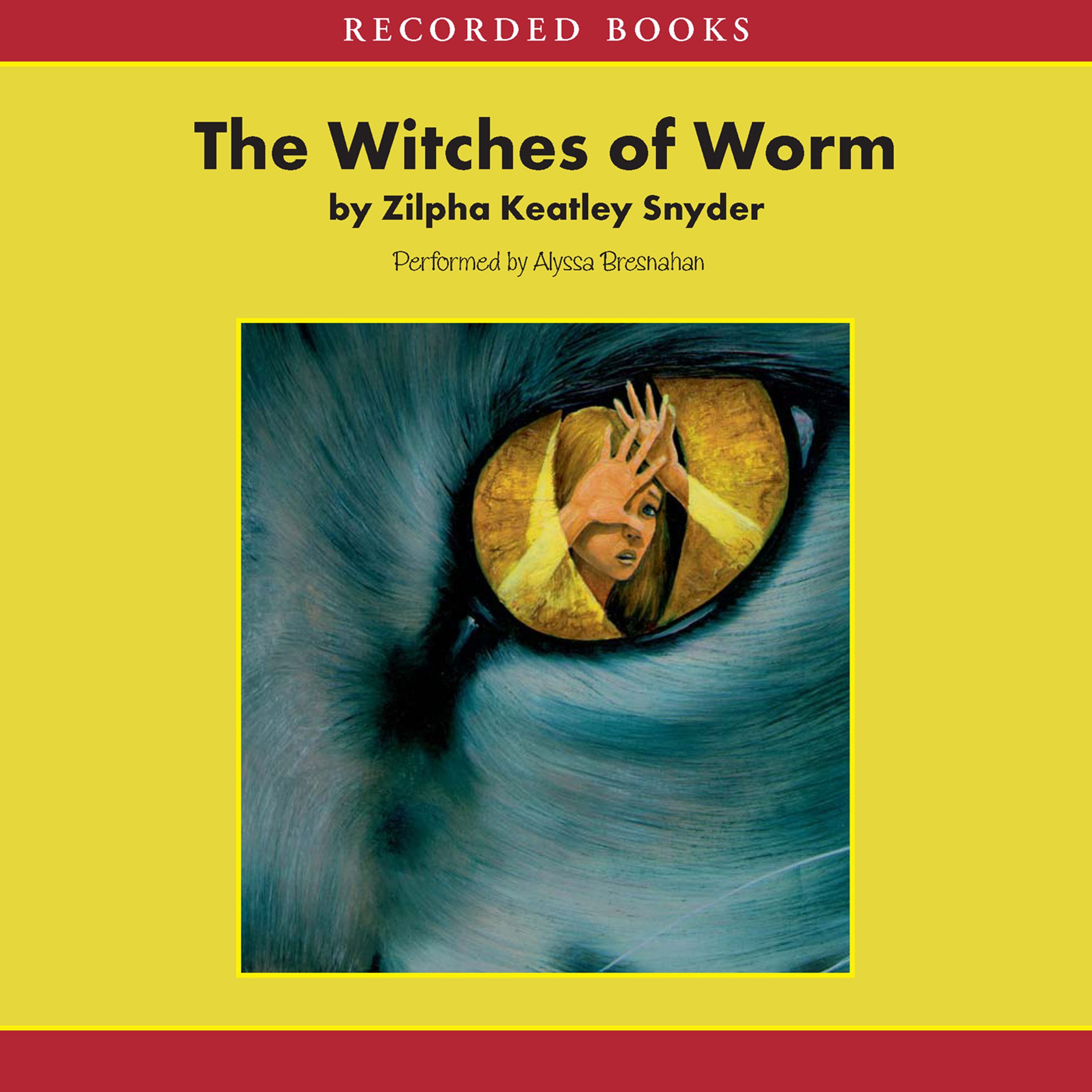 Cover art for Witches of Worm