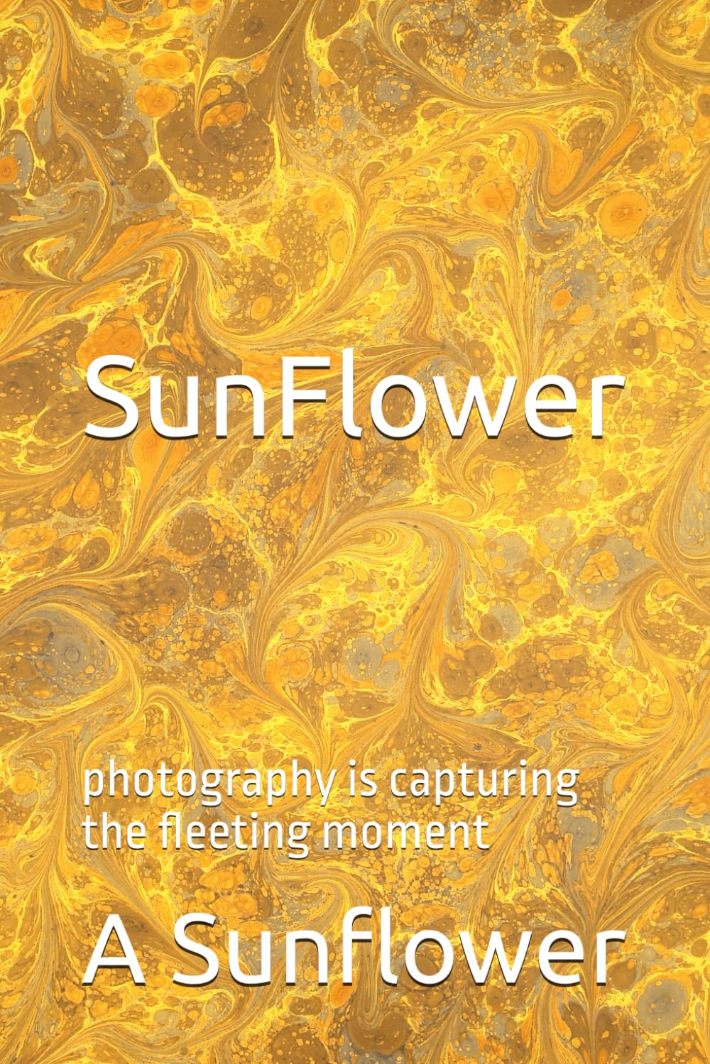 SunFlower: photography is capturing the fleeting moment