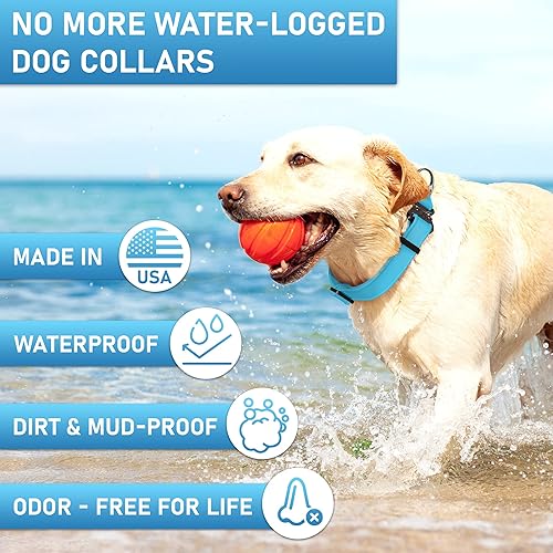 Miniatura 3 de Biothane - Collar de perro con hebilla de cobra, fabricado en Estados Unidos, etiqueta de identificación con código QR incluida, collares de perro