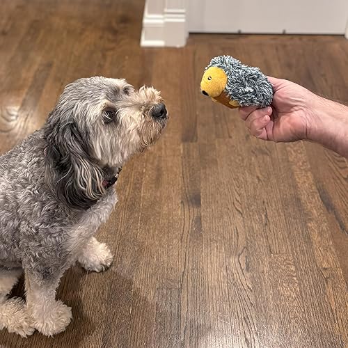 Miniatura 3 de Ethical Pet Butterballs - Juguete para perro, 4 pulgadas, bosque, surtido para todos los tamaños de raza