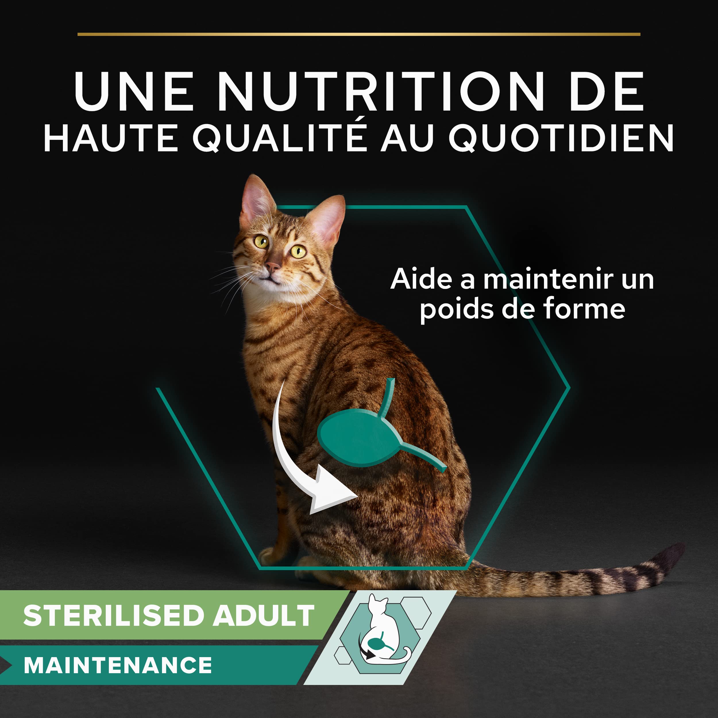 PRO PLAN Adult STERILISED MAINTENANCE Boeuf Sauce 10x85g