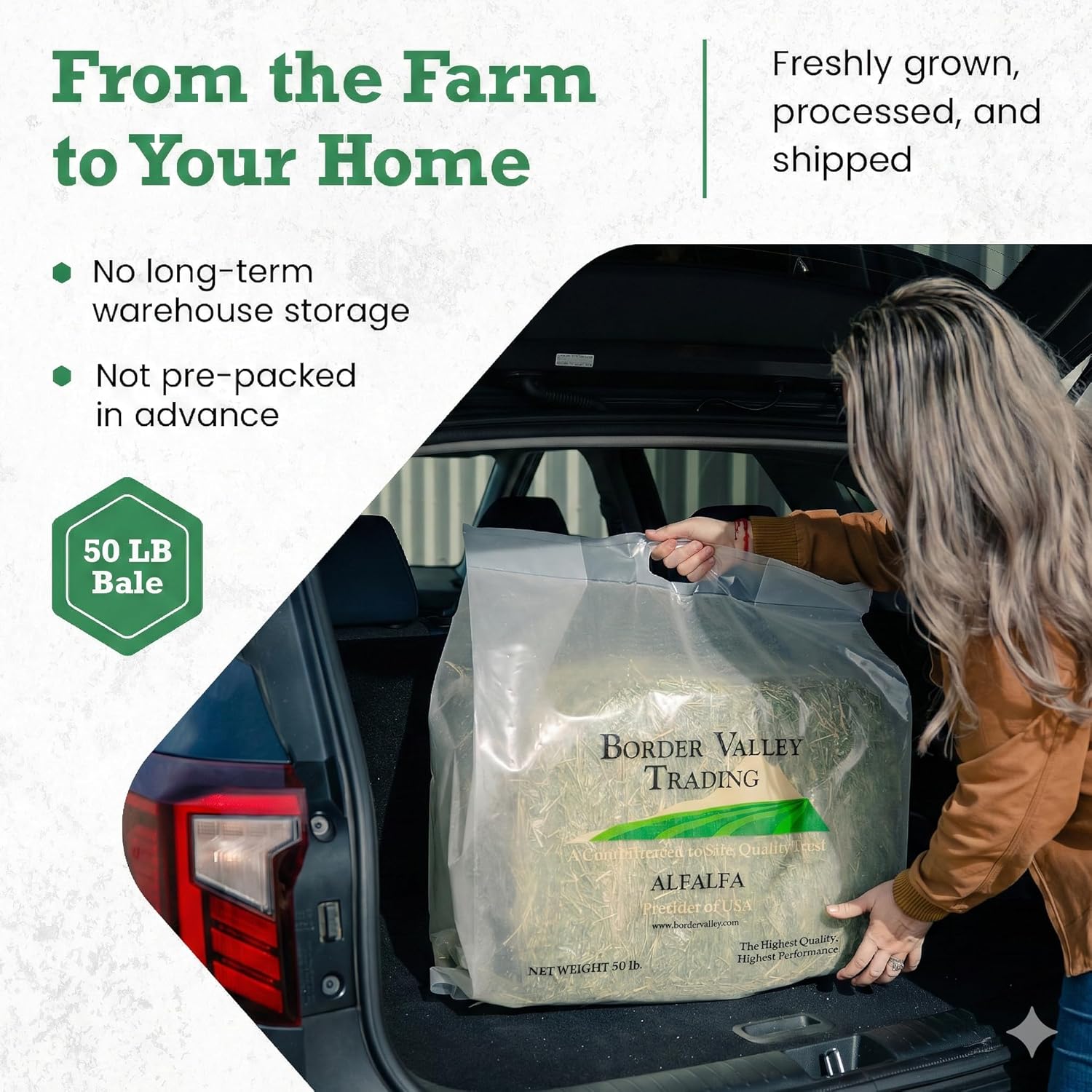 Border Valley Orchard Grass Hay Bale in Bag, 50 lb - Soft High Fiber Hay for Rabbits, Guinea Pigs, Chinchillas, Tortoises, Horses and Livestock - Leafy Grass Hay, Farm-to-Home Freshness