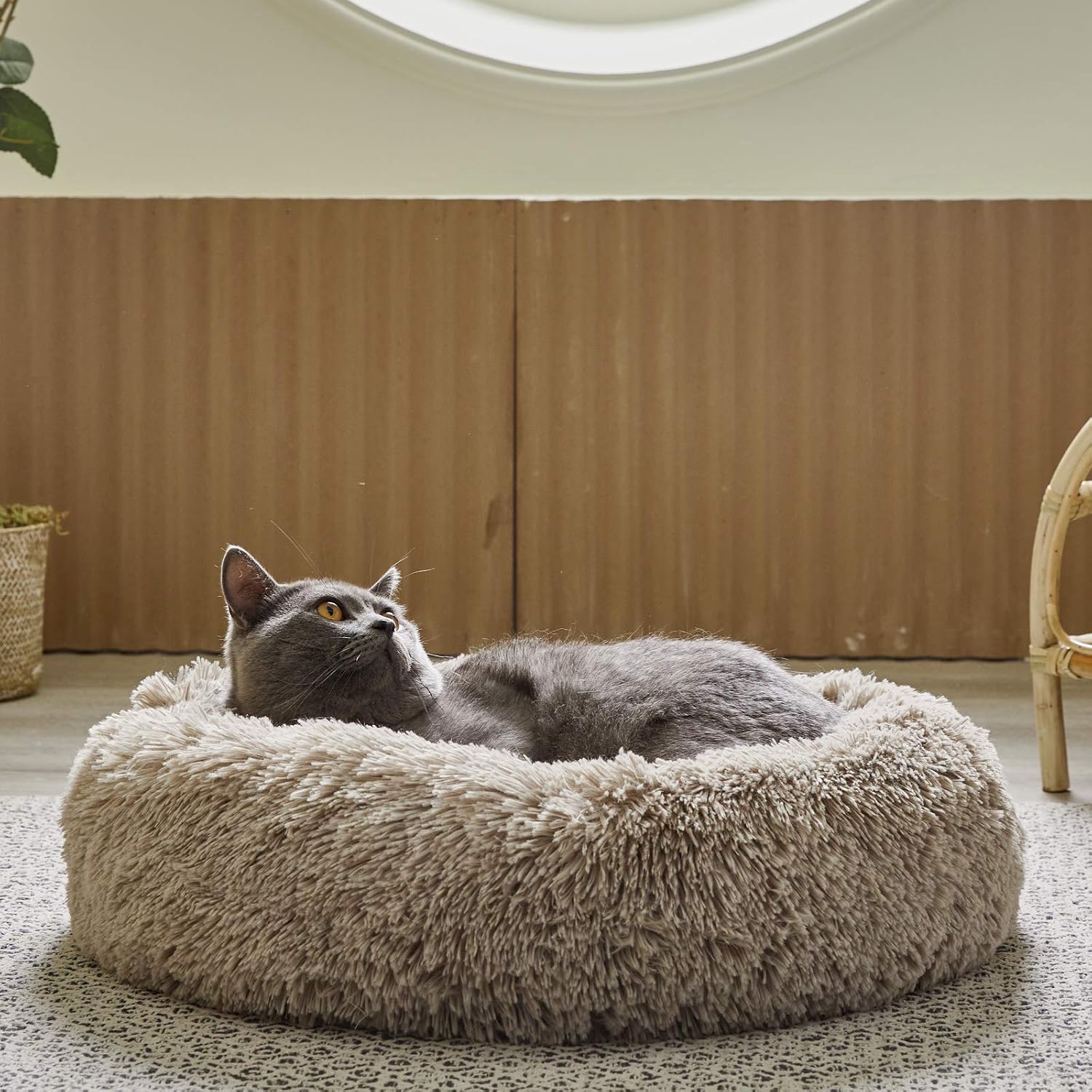 FlySheep Round Cat Bed Pet Bed Small Dog Bed, Soft Microfiber Donut Cuddler Cushion for Summer n Winter (Medium-21.5"/ 55cm, Coffee)