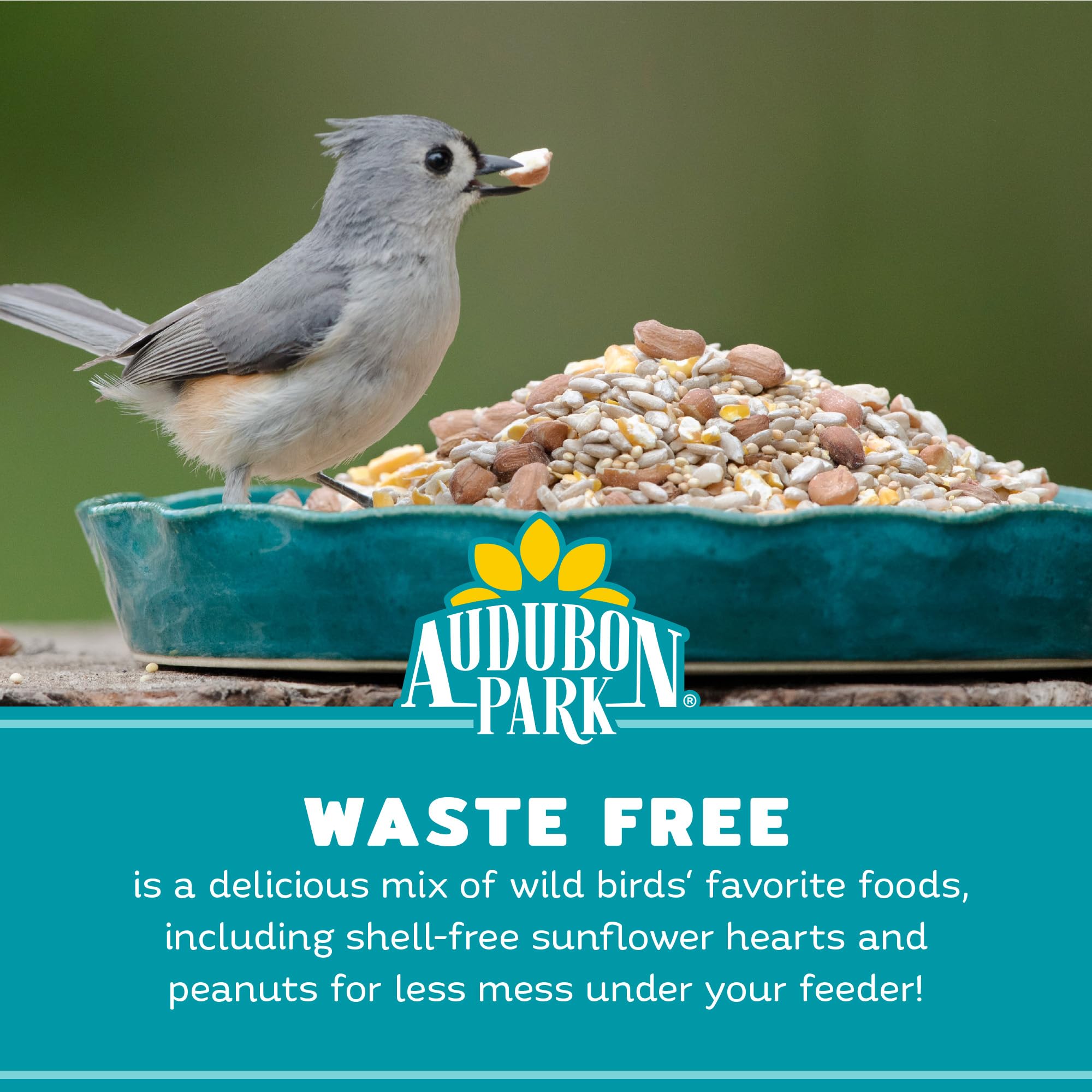 Audubon Park Alimento para Aves Silvestres sin residuos, Mezcla de 5,4 kg sin medición con Corazones de Girasol y trozos de Cacahuete, comedero para pájaros al Aire Libre