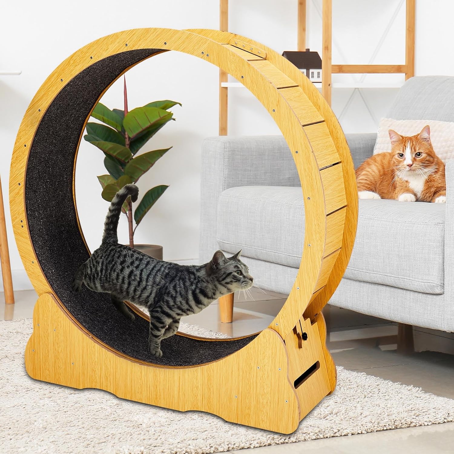 Large 39.4" W Cat Exercise Wheel Cats - Sturdy Silent Spinning Wheel, Safety Lock, Paw-Safe Design - Durable Wooden Treadmill Holds 26 LBS, Easy Assembly & Clean, Natural Color