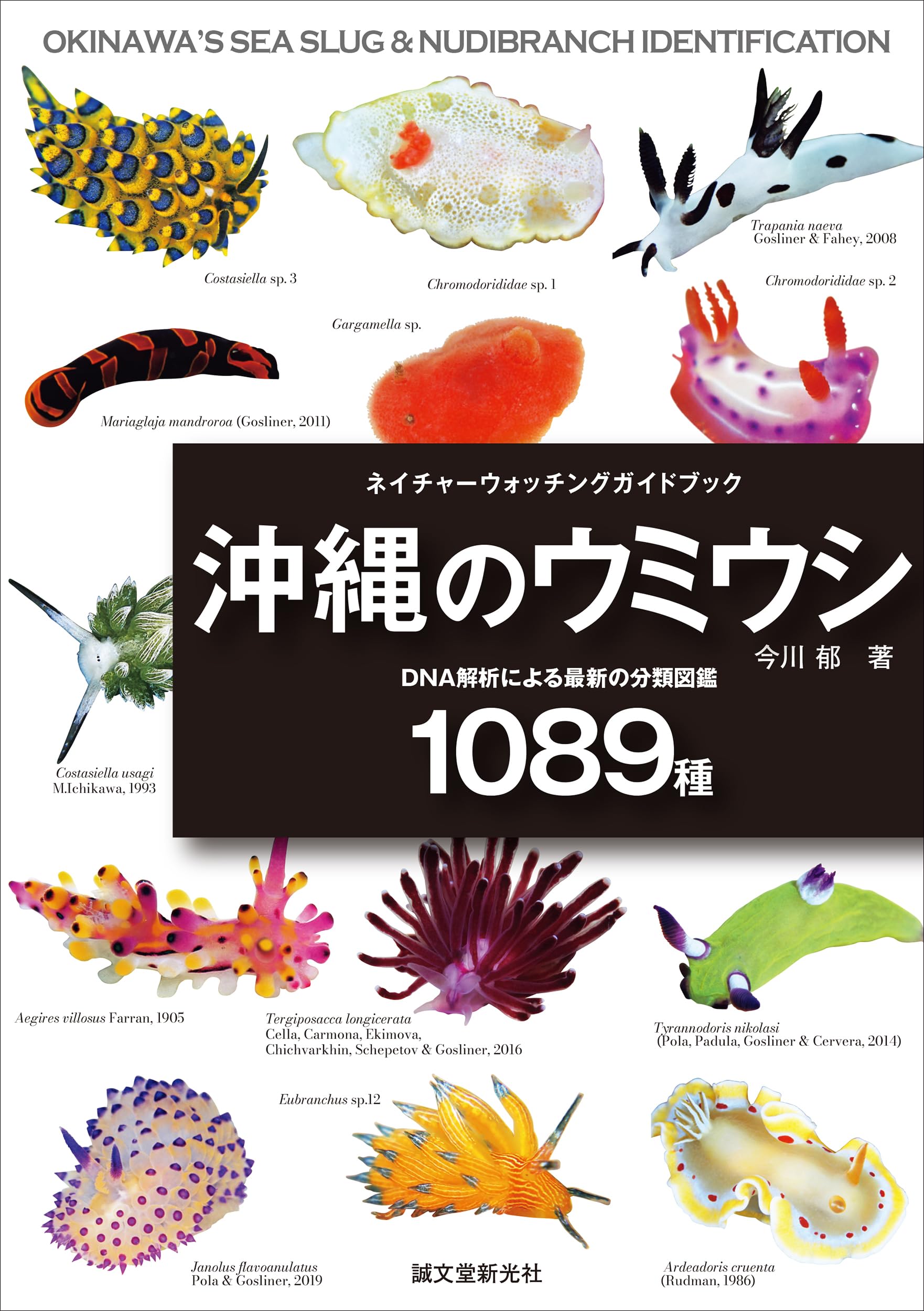 Amazon.co.jp: 誠文堂新光社: ネイチャーウォッチングガイドブック