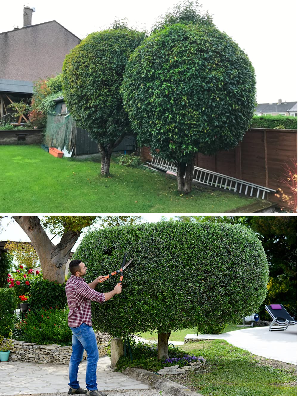 BESPORTBLE Bâche De Jardin Étanche Pour Élagage Tarp Avec Trou Central Pour Trimming De Plantes Et Collecte De Bâche Résistante