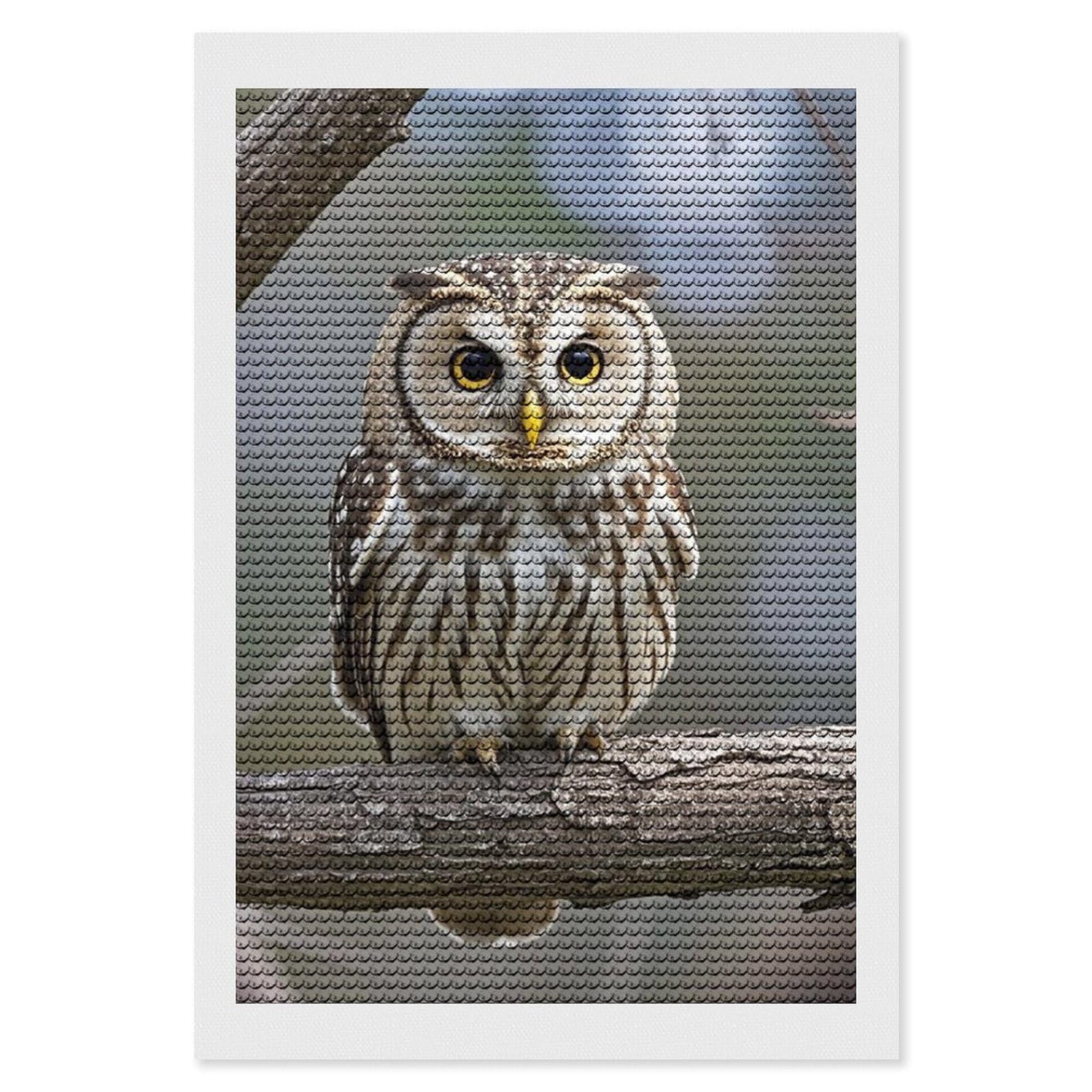 Cute Owl Diamond Painting Kits for Adults, DIY 5D Diamond Painting Kits for Beginners, Round Full Drill Diamond Dots Paintings, Diamonds Pictures Gem Art for Crafts Home Decor 8"x12"