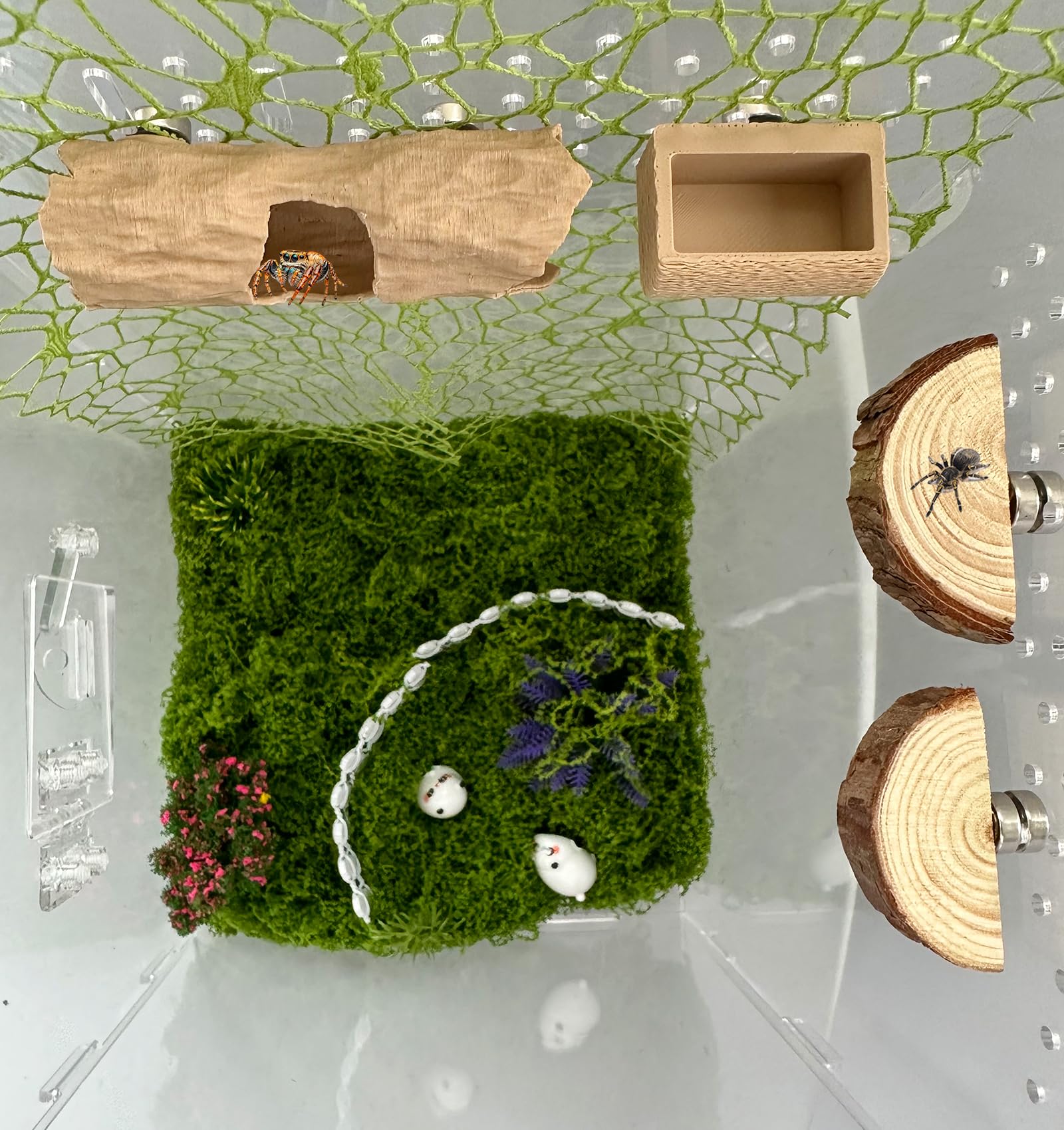 6Pcs Jumping Spider Accessories Set,Tree Jumping Spider Climbing Toy with Cave