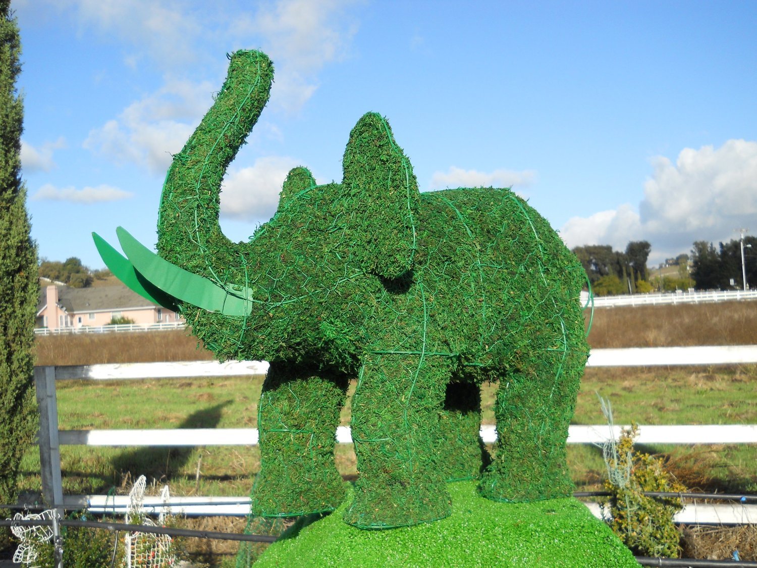 Topiary Frame Handmade Topiary Hedgehog Frame For Plants Perfect For