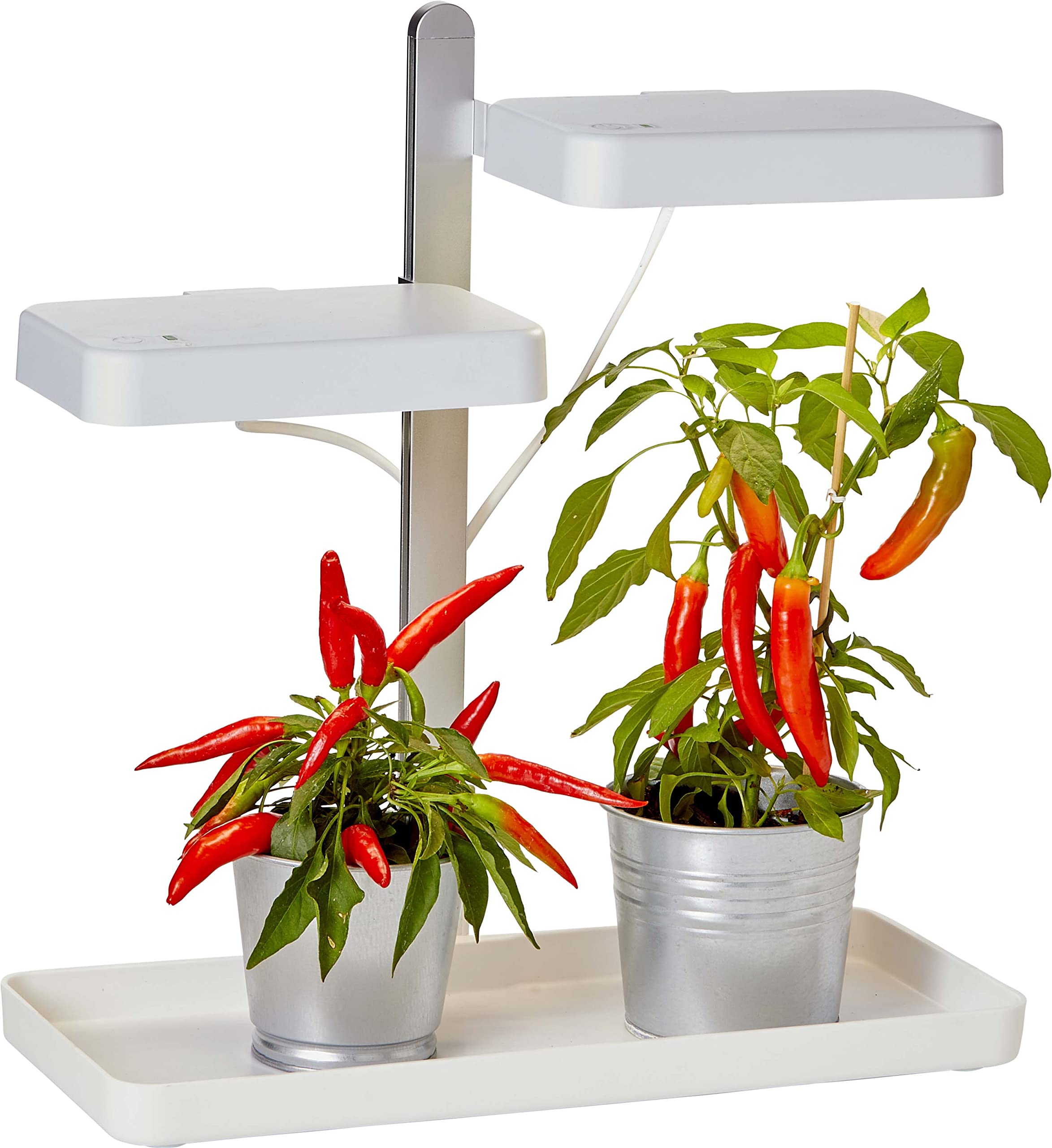 Northpoint LED Pflanzenlampe Gewächslampe Pflanzenlicht 30W Kräutergarten Timerfuntion Innengarten