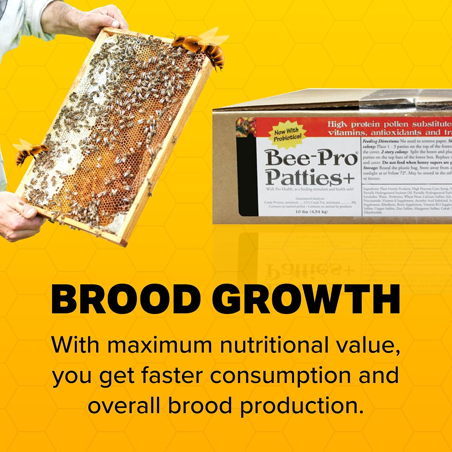Mann Lake Bee-Pro Patties with Pro Health, Ready-to-Feed High Protein Pollen Substitute, Beekeeping Supplies, 10 lb