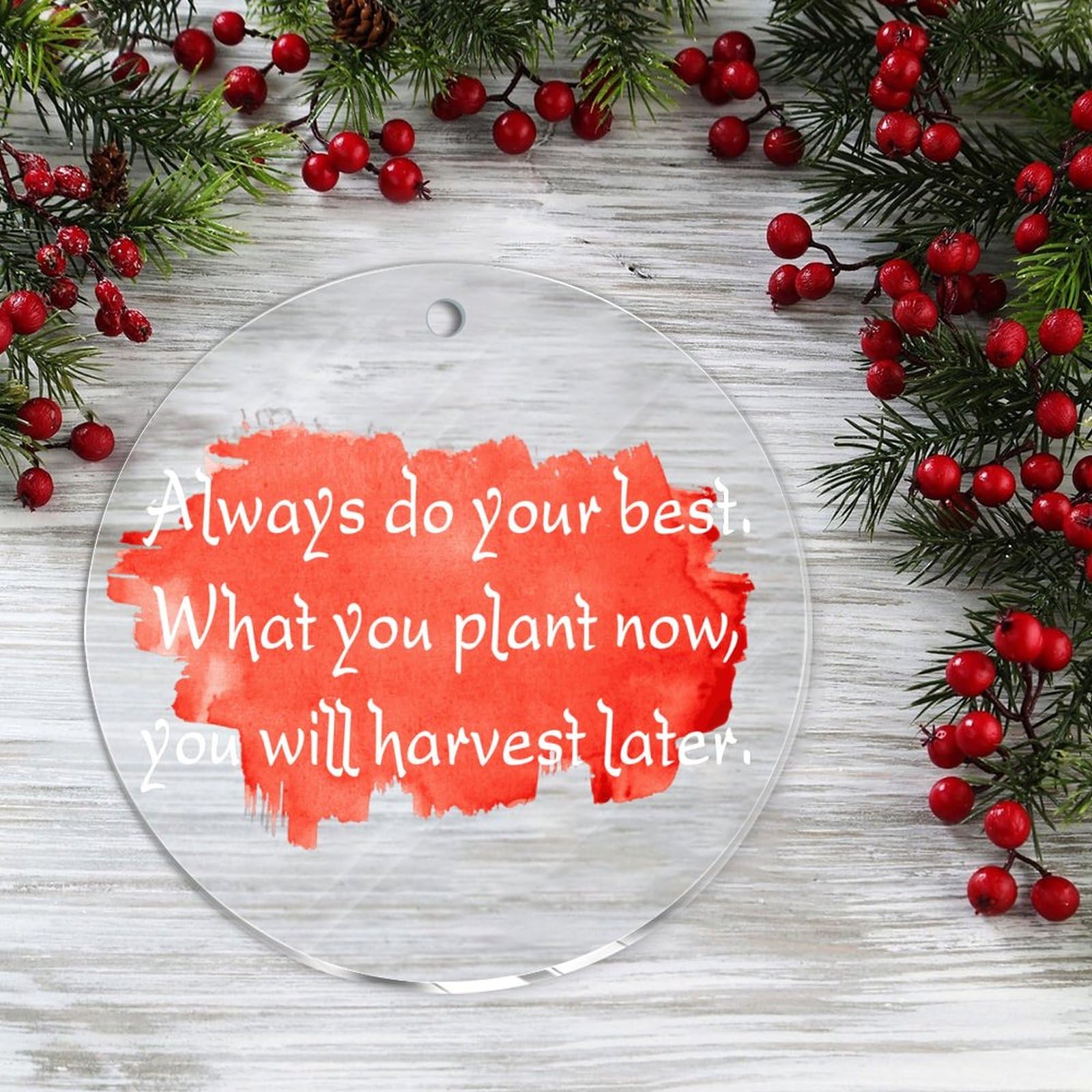 Amazon.com: Always Do Your Best. What You Plant Now, You Will Harvest Later  Acrylic Ornaments, Bible Verses Hanging Ornaments for Christmas Tree  Decoration, Motivational Quotes Ornament Keepsake Souvenir Gift : Home &