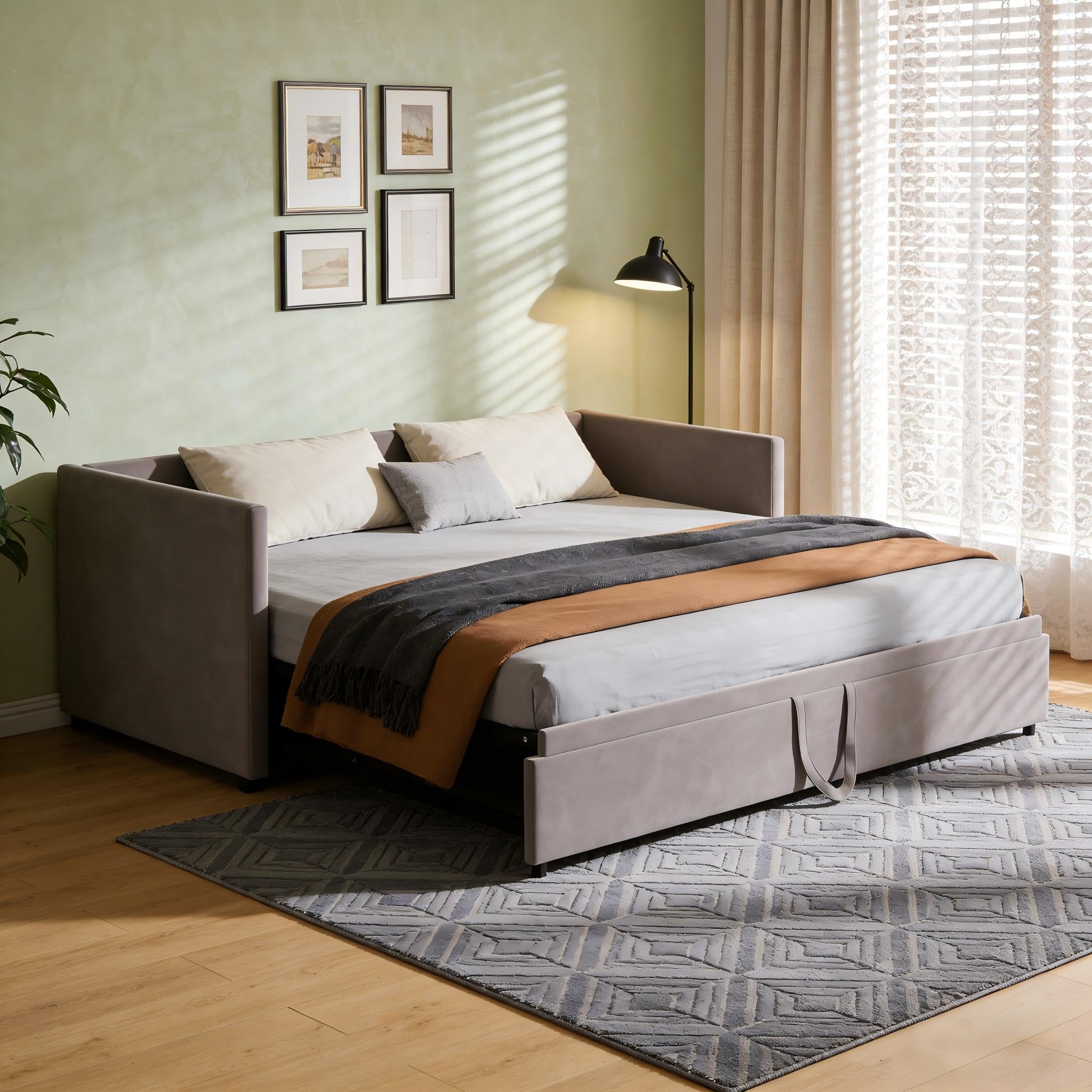 Divano letto, 2 posti, divano letto, estensibile, 90/180 x 200 cm, con rete, velluto, grigio (senza materasso) (Grigio)