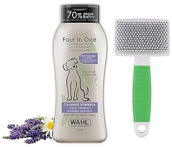 Wahl 0000 4 In 1 Shampoo Lavender Chamomile 709 Ml 24oz Wahl Cat Slicker Brush Amazon In Pet Supplies Wahl 0000 4 In 1 Shampoo Lavender Chamomile 709 Ml 24oz Wahl Cat Slicker Brush Amazon In Pet Supplies