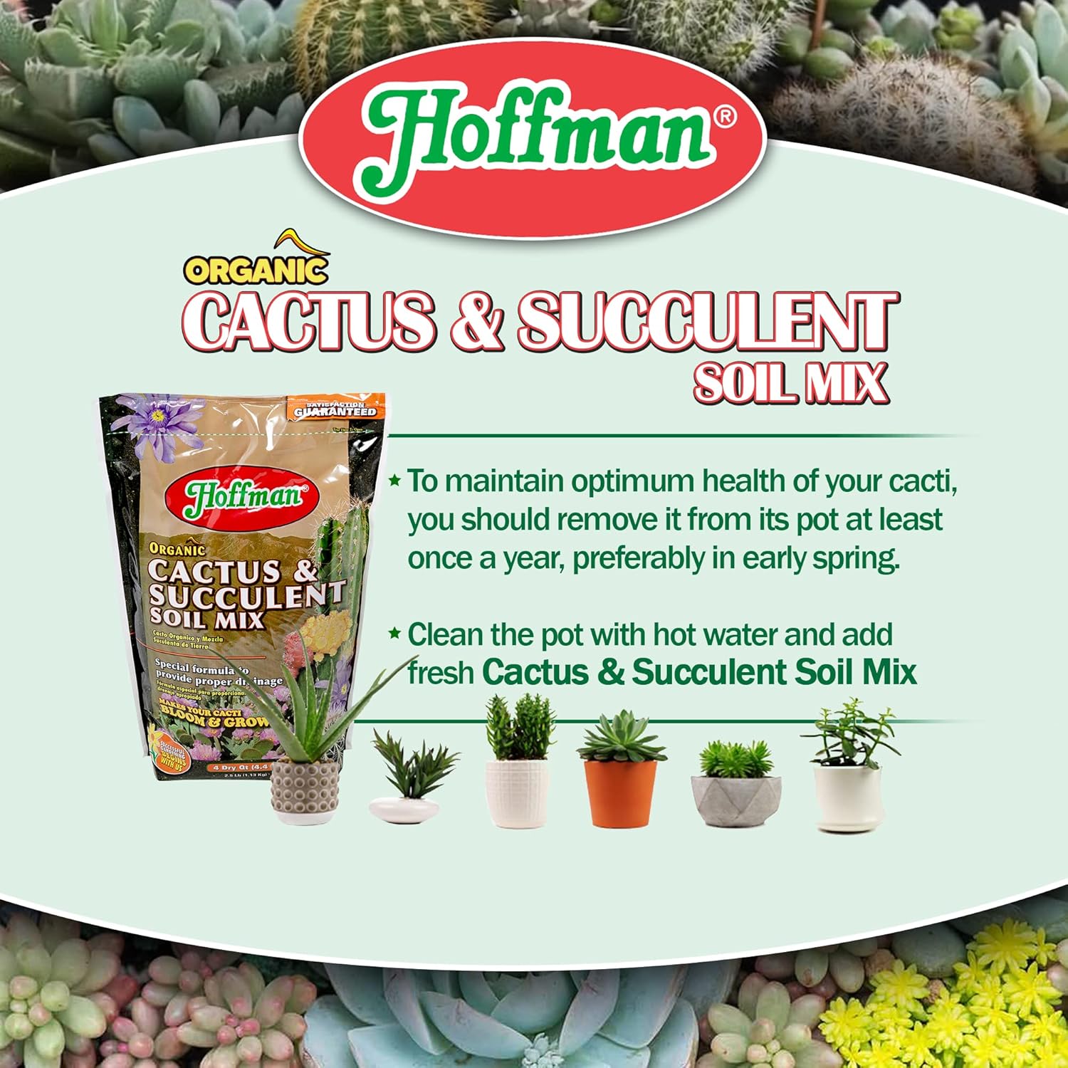 Hoffman 10404 Organic Cactus and Succulent Soil Mix, 4 Quarts, Brown/A : Patio, Lawn & Garden
