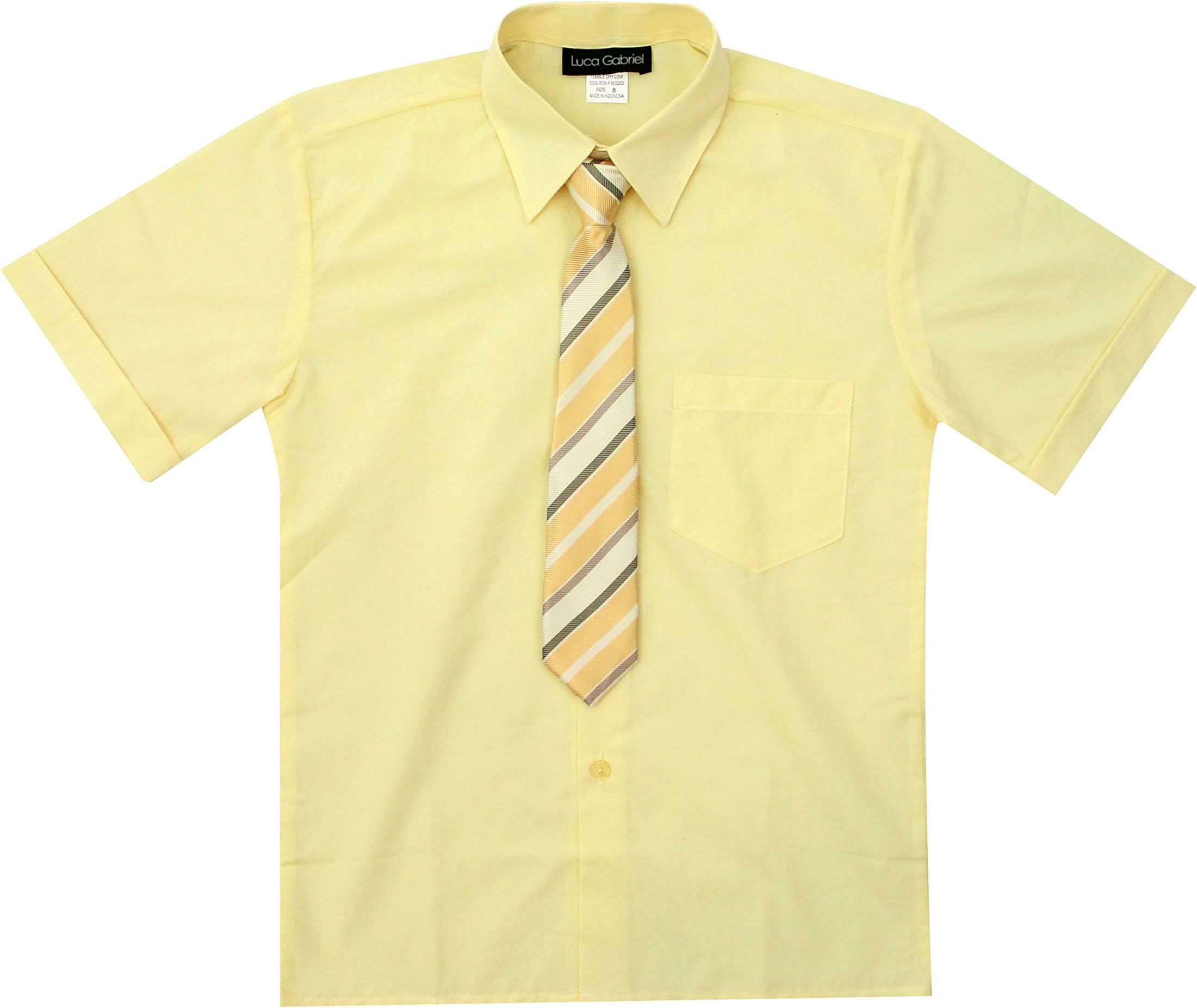 Luca Gabriel Toddler Boy's Short Sleeve Formal Button Down Dress Shirt & Tie Set