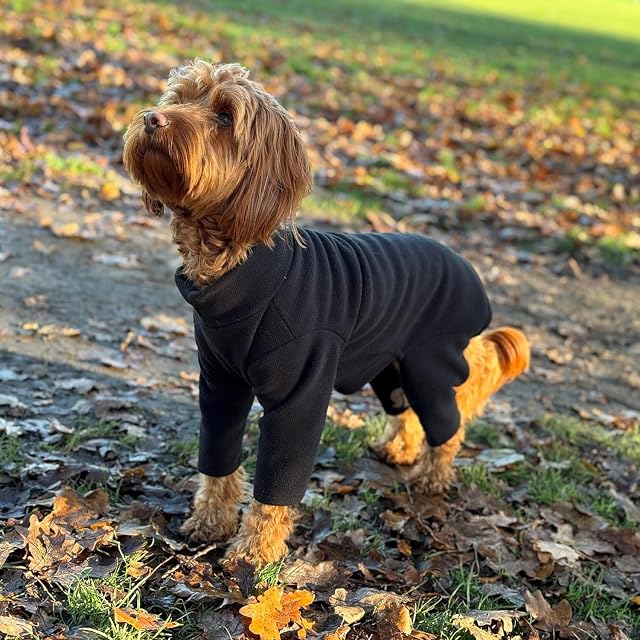 Forro polar cálido de cuatro patas para perro, súper suave, resistente a la intemperie
