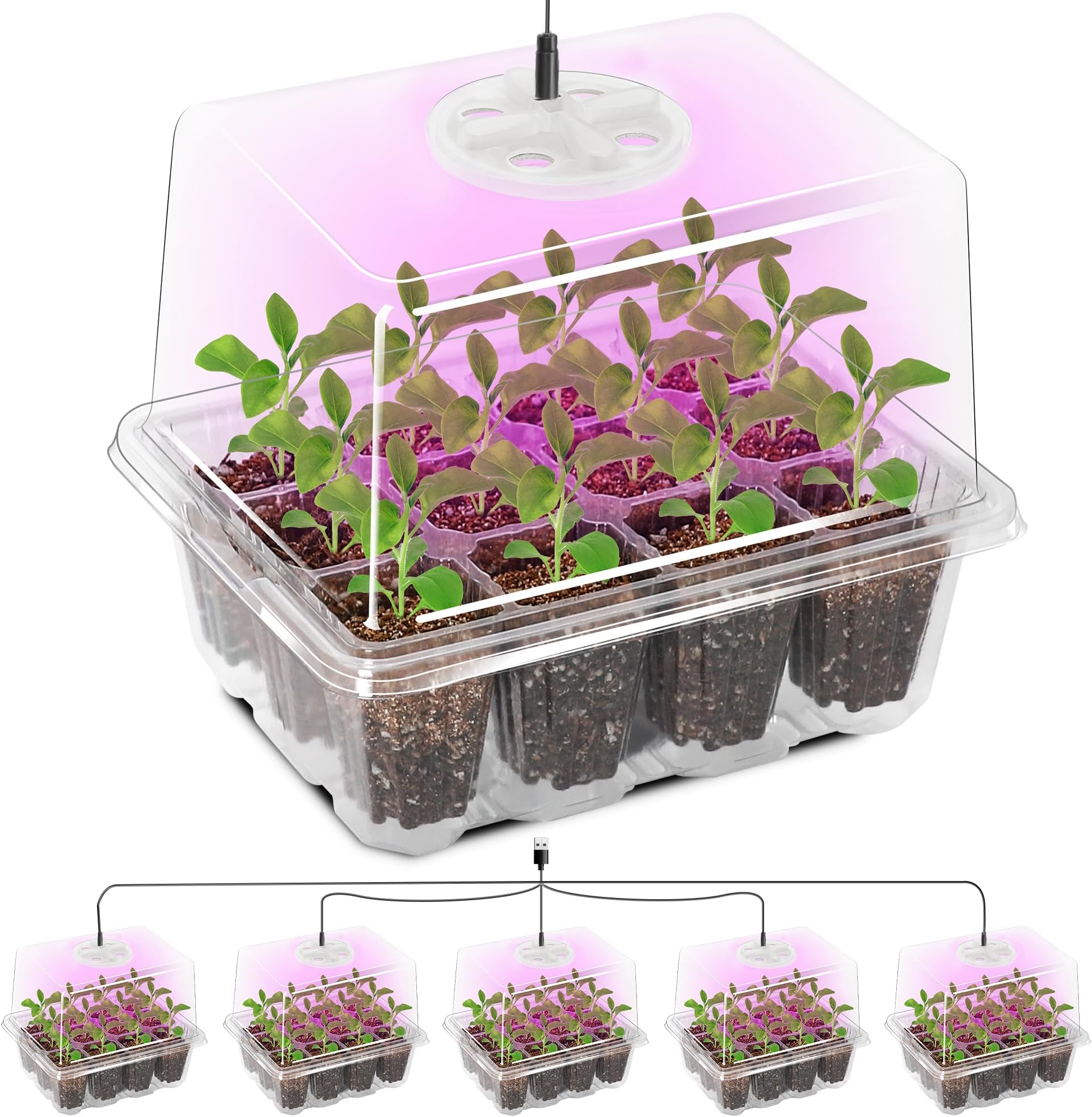 Seed Trays with Grow Light, 5 Pack Seed Trays with Lids, Propagators for Plants with Adjustable Lids and Clear Cell Tray, Propagator with 8 Full Spectrum Led Lamp Beads, For Indoor Plants, Clear