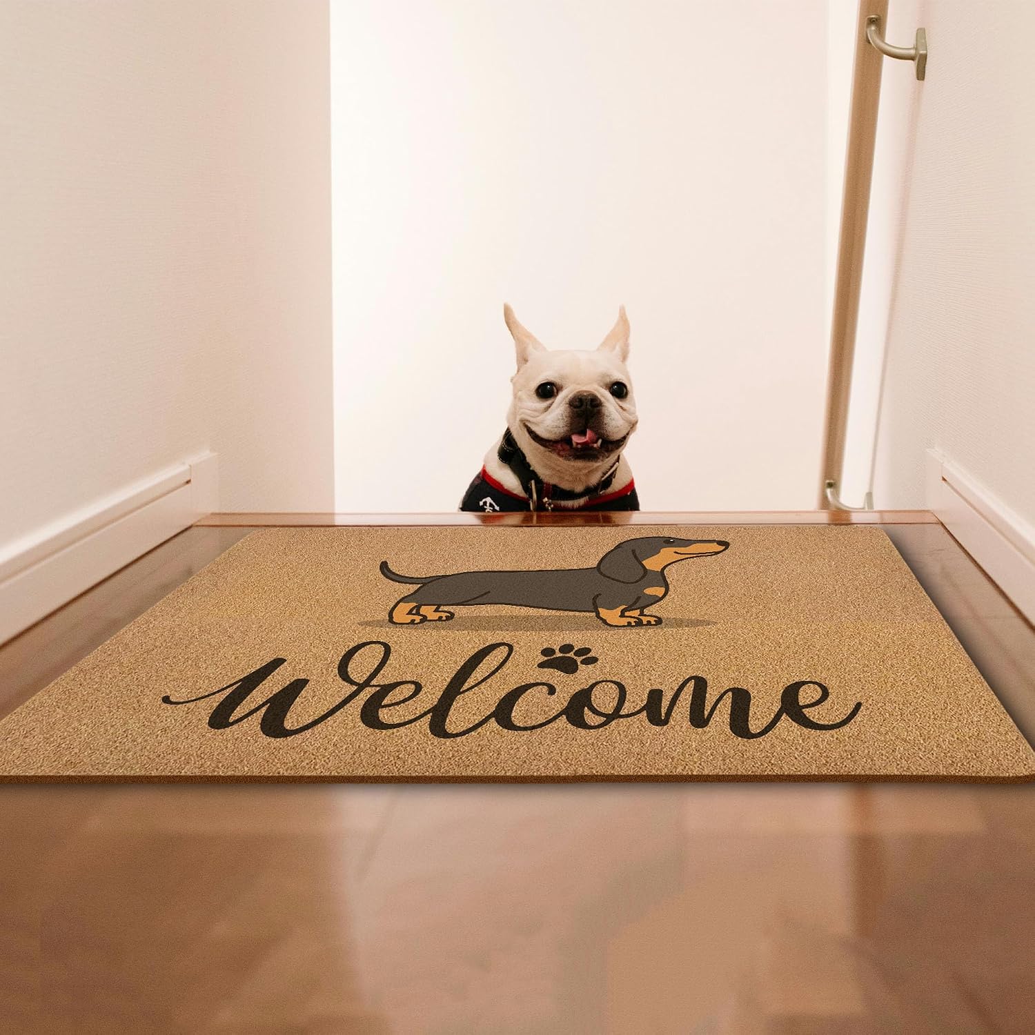 Funny Cute Dachshund Door Mats, Funny Welcome Front Door Mat Indoor Outdoor Entrance, Dog Owner Gift Artificial Coir Doormat Rugs for Patio Entry Kitchen Decor, 17x30 Inch