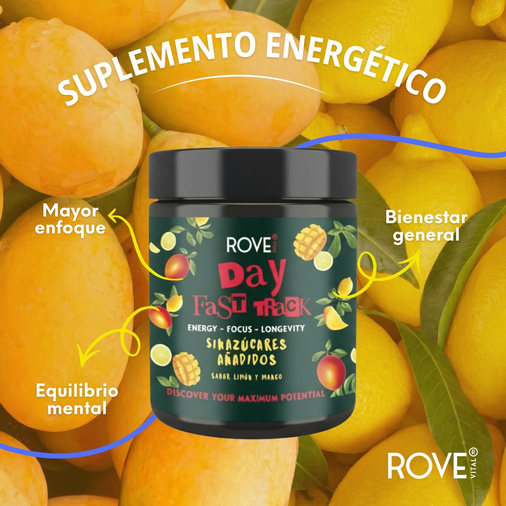 Fórmula Todo en Uno de Energía, Enfoque y Longevidad, Sin Azúcar, con Ashwagandha KSM-66, Cordyceps, Melena de León, Vitaminas y Probióticos – Day Fast Track | Rove Vital