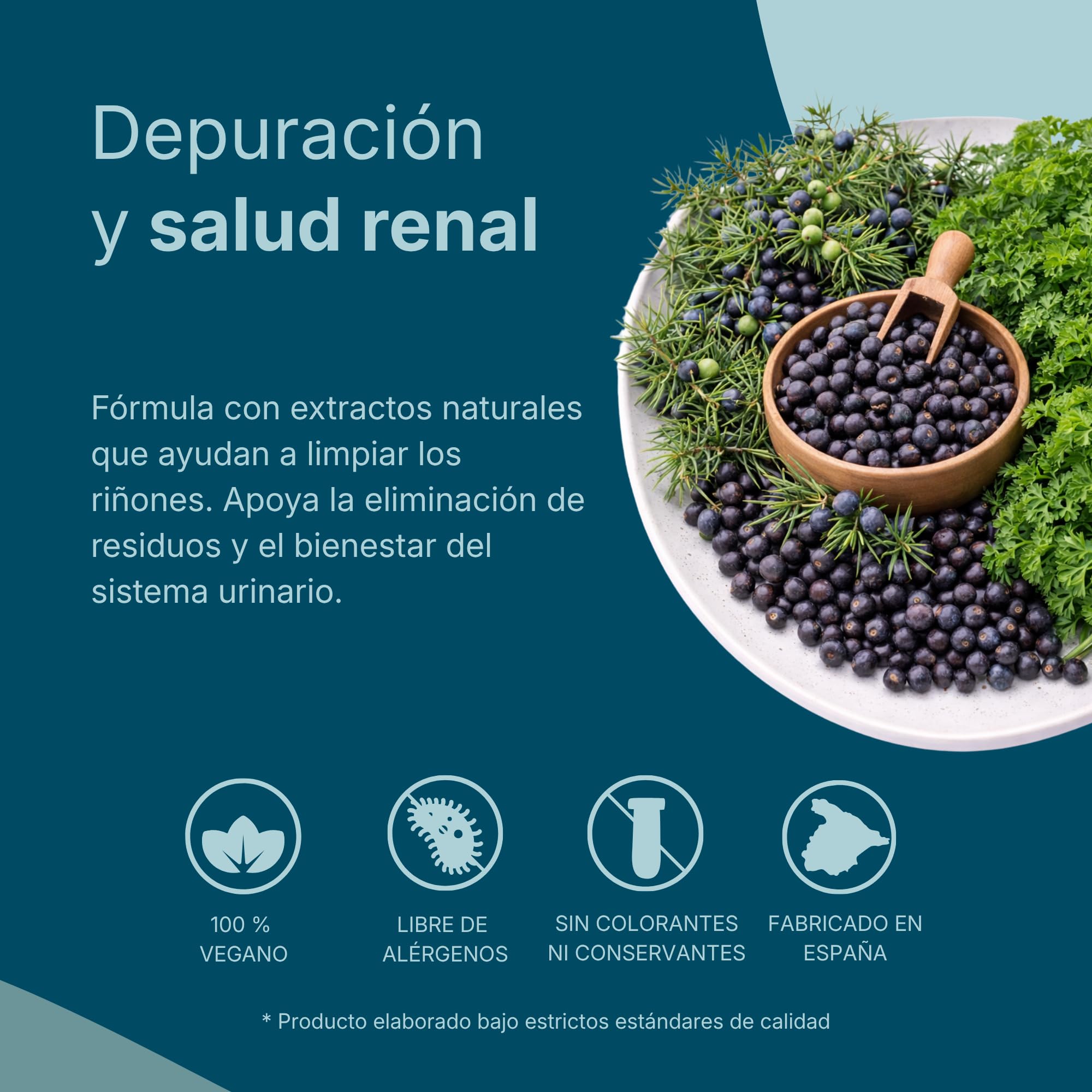 FEPA Renalim – 60 Cápsulas Pack de 2 – Extracto Rompepiedras, Cola de Caballo y Gayuba – Complemento Alimenticio con Extractos de Plantas para el Apoyo Nutricional del Bienestar Renal – Fepadiet