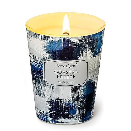 HomeLights Large jar Candle | 1-Wick Long-Lasting Scented Candles, 6.7oz